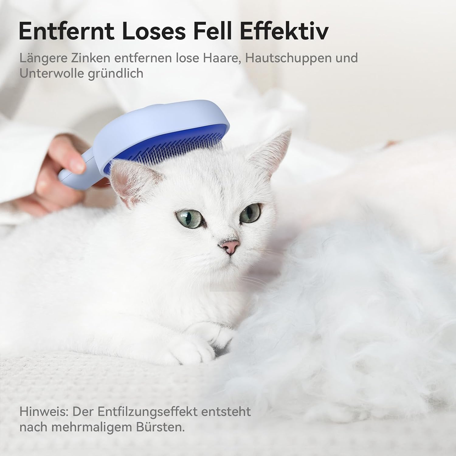 Thumbnail 5 de aumuca Katzenbürste für Fellpflege 🐾