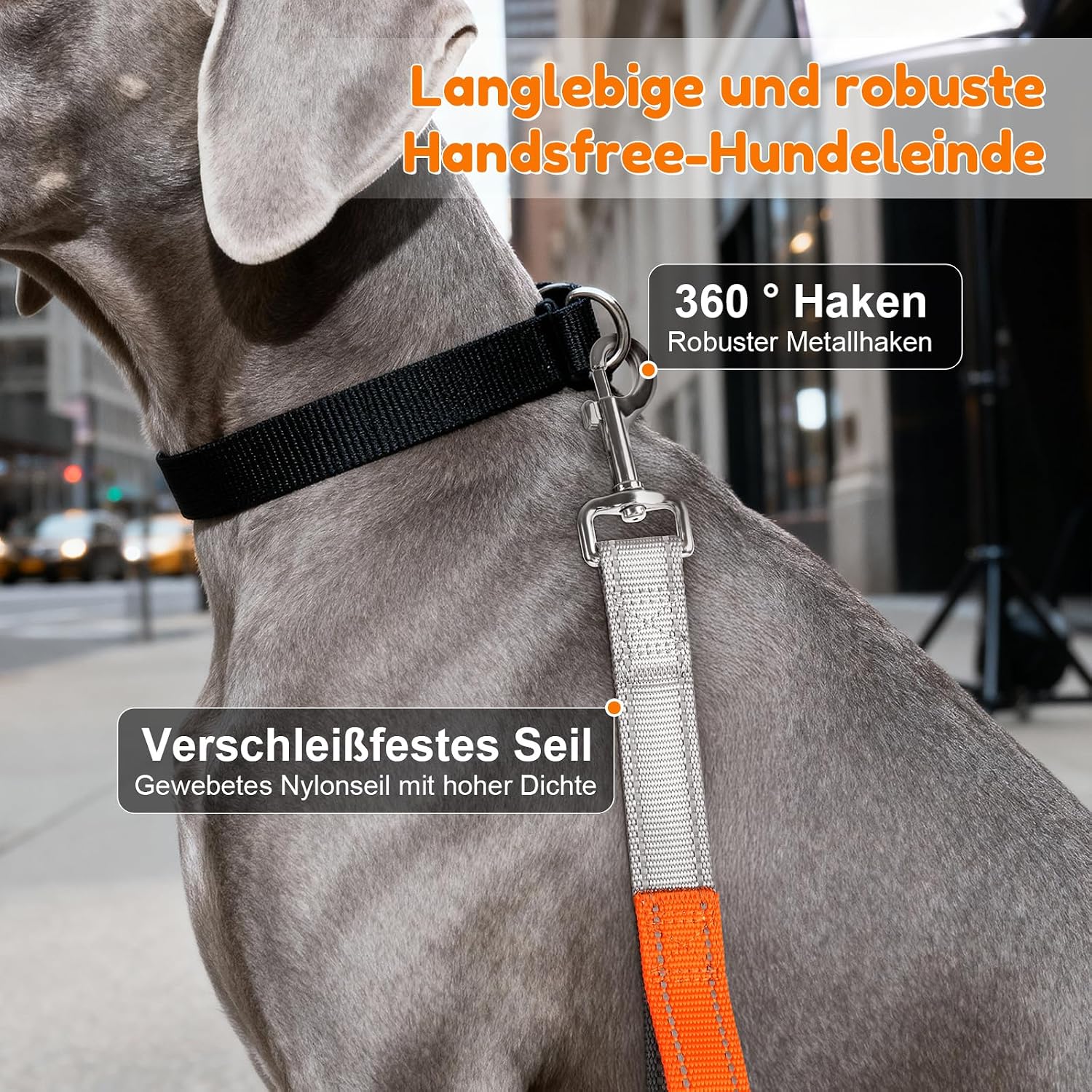 Thumbnail 6 de X XBEN Freihandleine Große Hunde