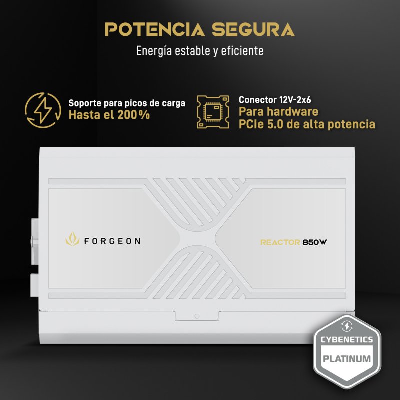 Detalle 2 de forgeon Reactor 850W fuente ATX 3.1 850W
