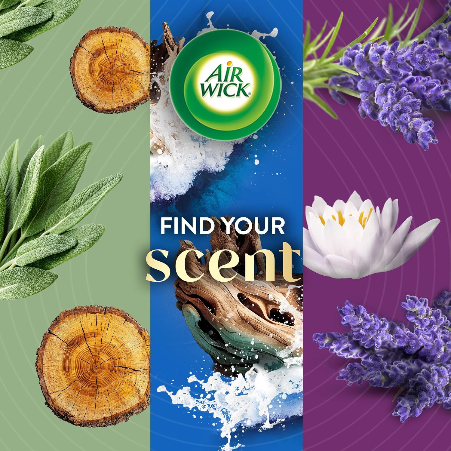 Thumbnail 6 de Air Wick Cherry Blossom & Raspberry Plug-In Scented Oil Refills, 4 Count