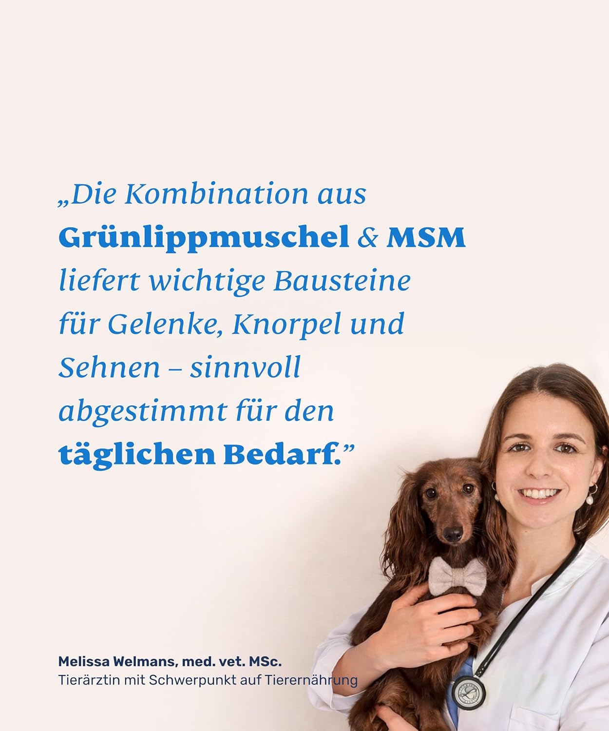 Thumbnail 6 de Mammaly Gelenkpulver für Hunde – Grünlippmuschel- und MSM-Pulver, 150 g