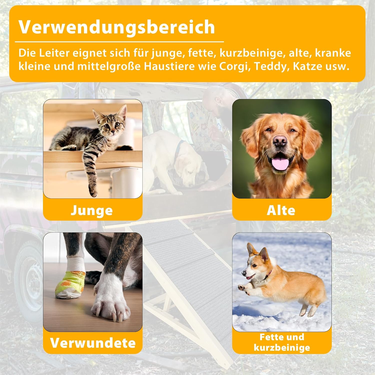 Detalle 2 de LZQ Hundetreppe 100 cm