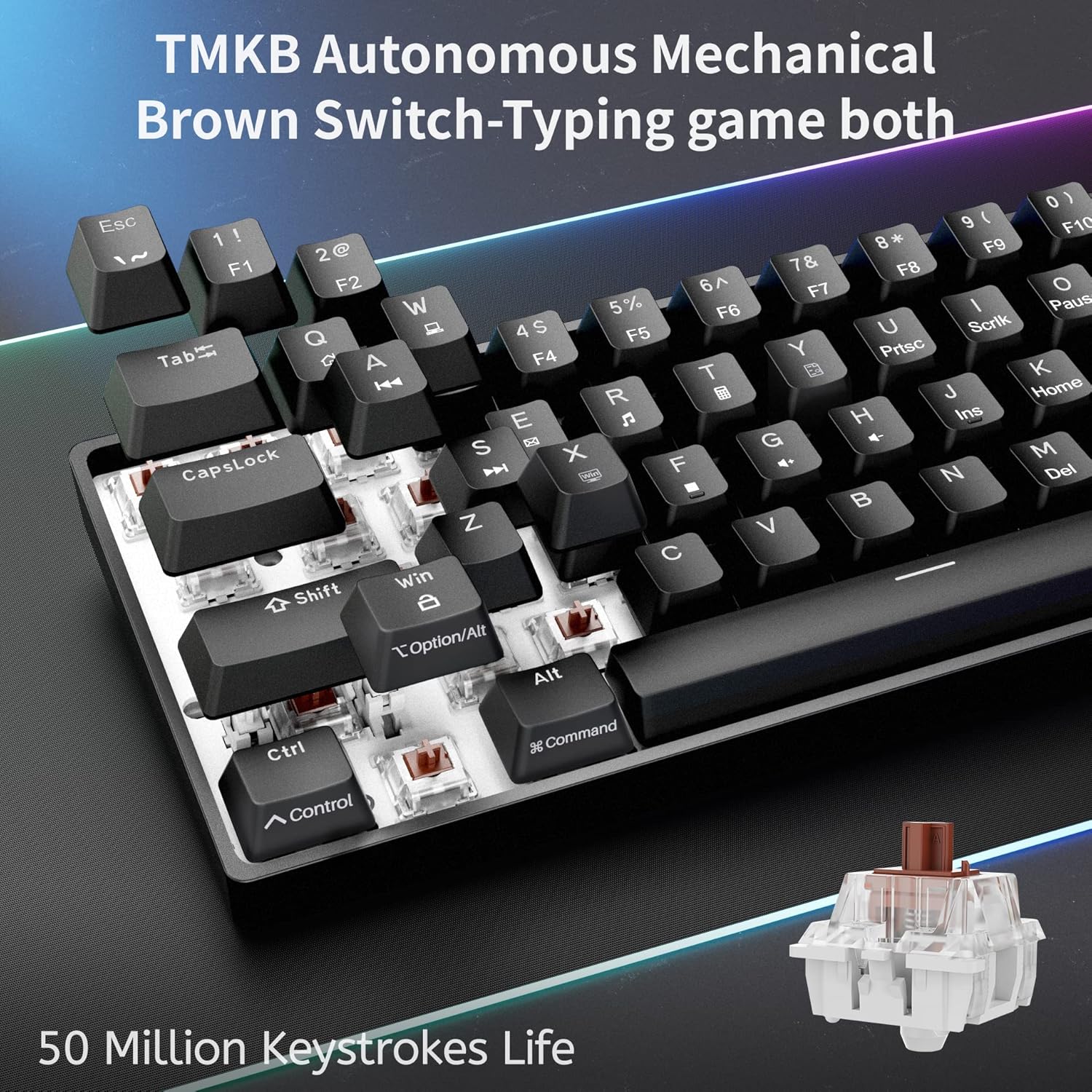 Thumbnail 2 de Dierya DK61SE Clavier Gaming Mécanique 60% - switches marron, rétroéclairage bleu glacier, USB-C, 61 touches