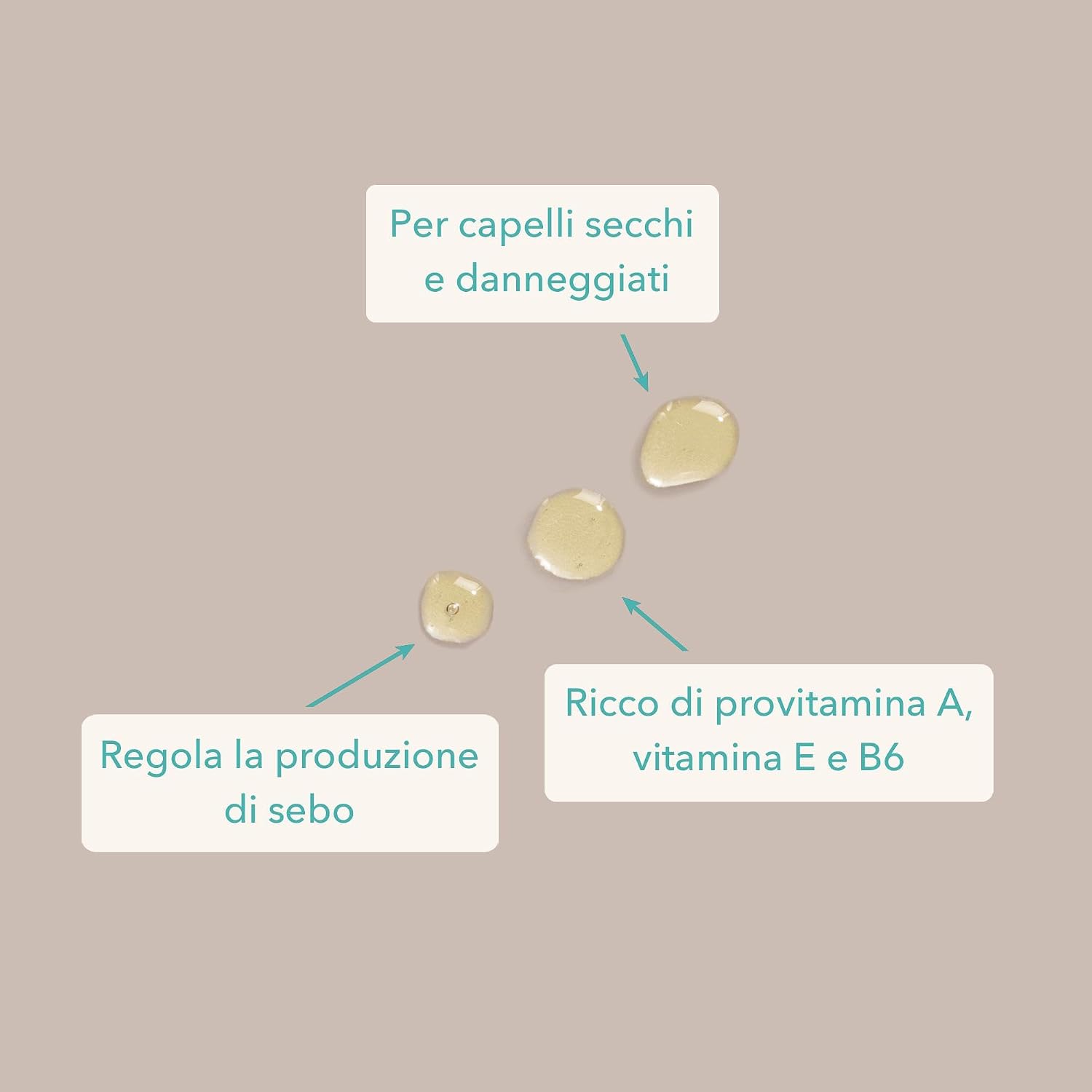 Thumbnail 1 de Colibri Skincare BIO Olio di Jojoba 100 ml – olio di jojoba biologico puro per viso e capelli