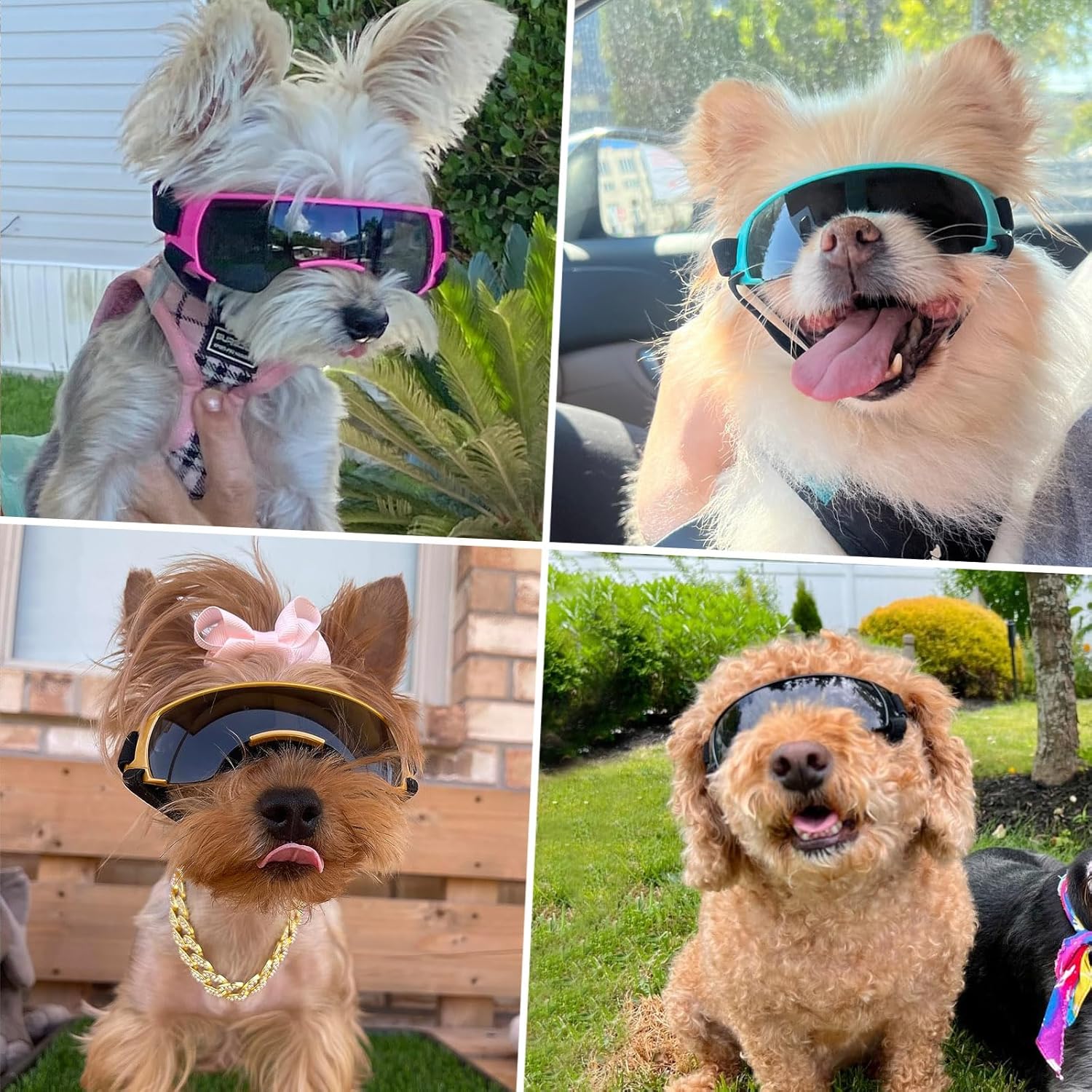 Thumbnail 1 de PETLESO Hunde Sonnenbrille Windschutzbrille