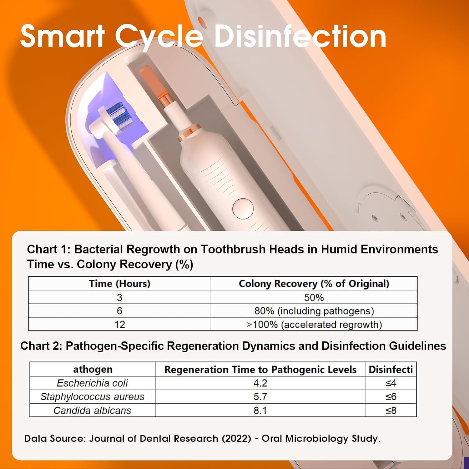 Detalle de iHave Toothbrush Sanitizer for Electric Toothbrushes — Portable UV Travel Case (Case Only)