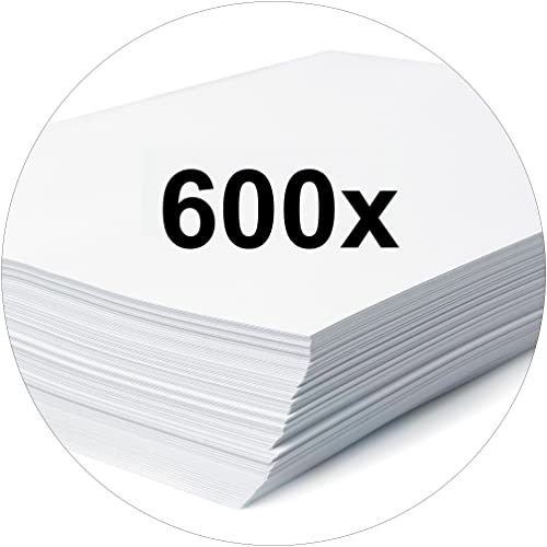 Thumbnail 4 de Falken Carpeta S Rojo de Polipropileno DIN A4 📁