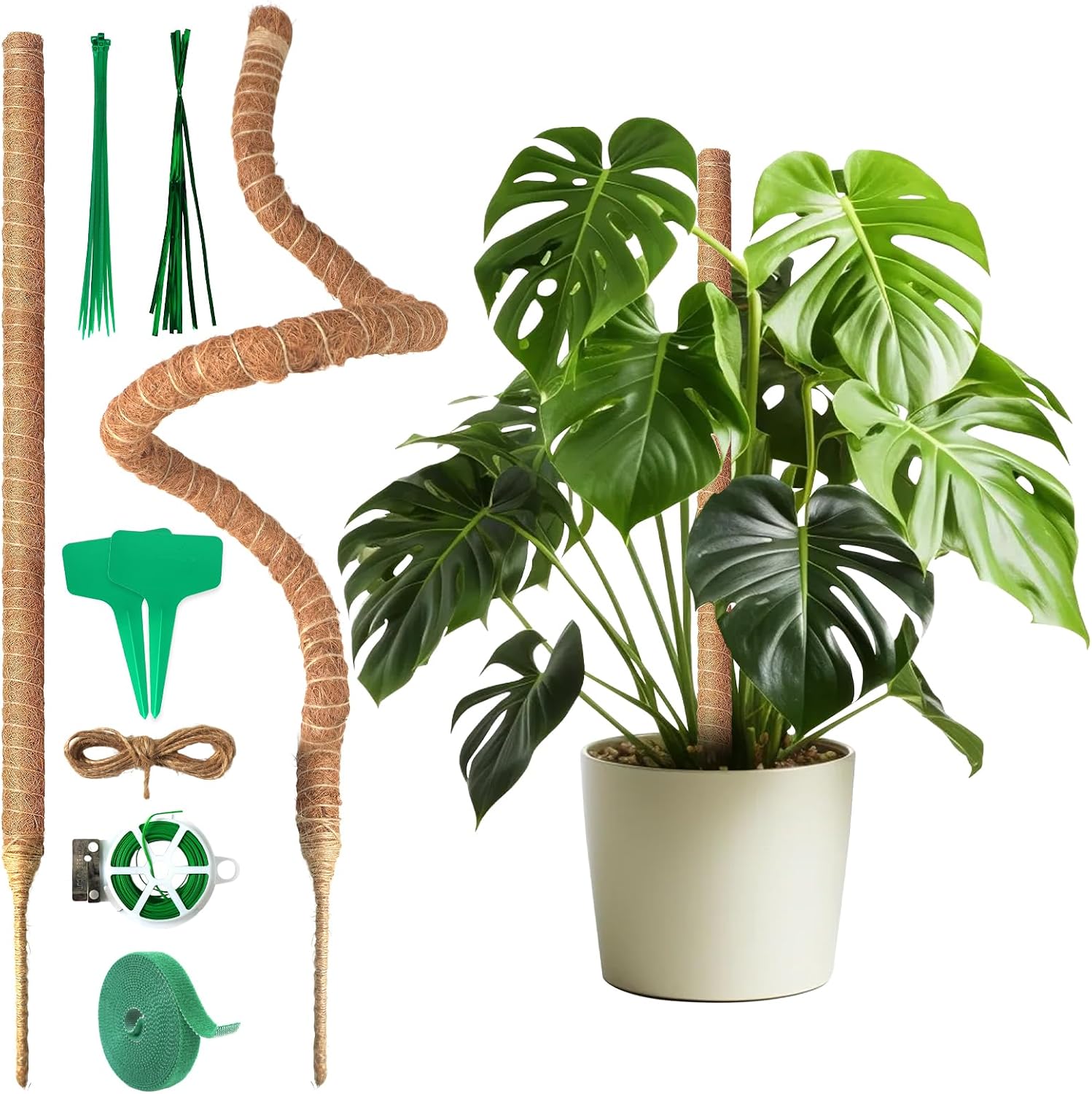 Detalle de Ouxayapl Monstera-stokken van 120 cm, flexibel met kokosvezel en accessoires