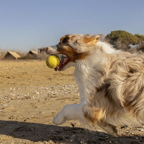 Thumbnail 5 de Ferplast Jouet Chien, distributeur croquettes arôme poulet