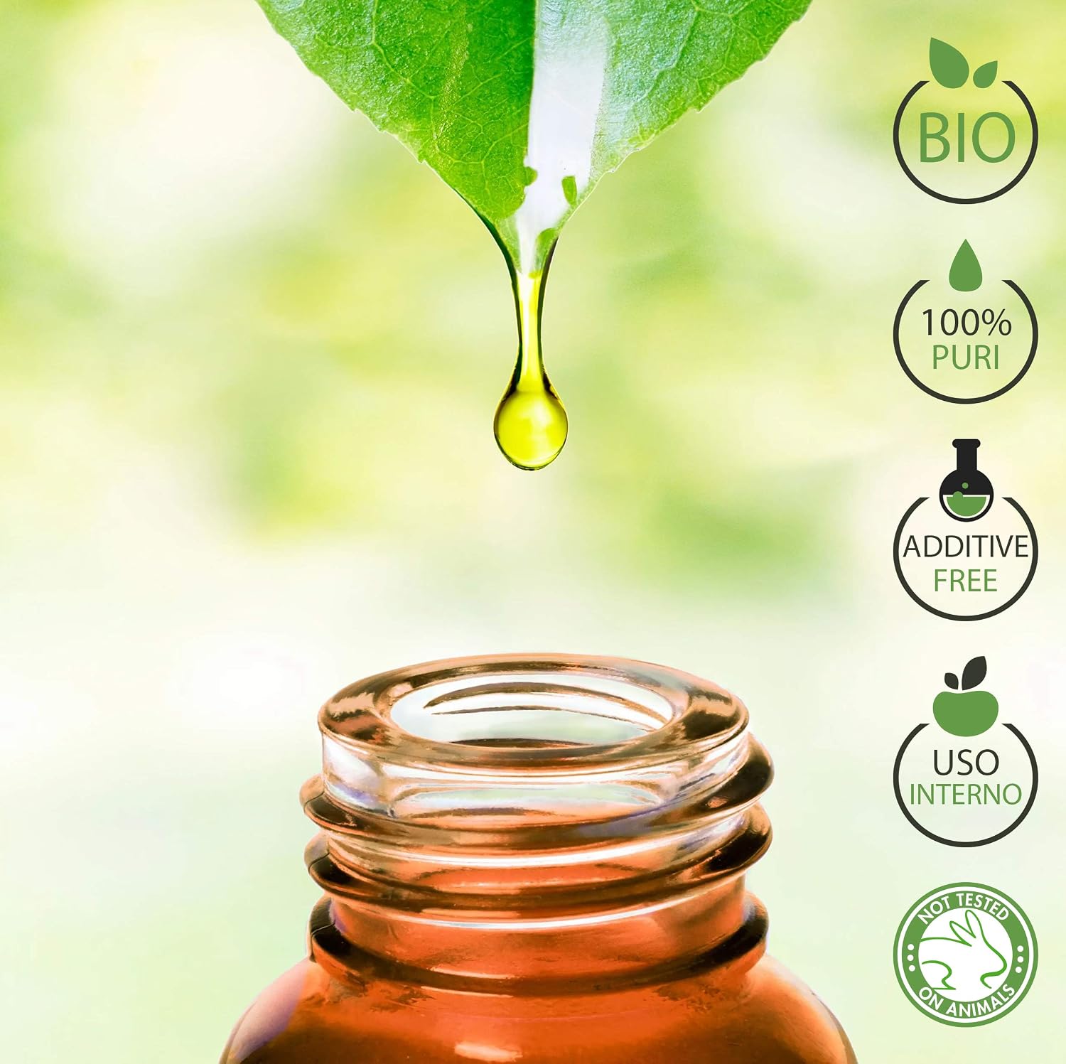 Detalle 2 de Olio essenziale di Eucalipto Bio 100% Puro 30 ml – uso interno, diffusione e cosmetica | Laborbio