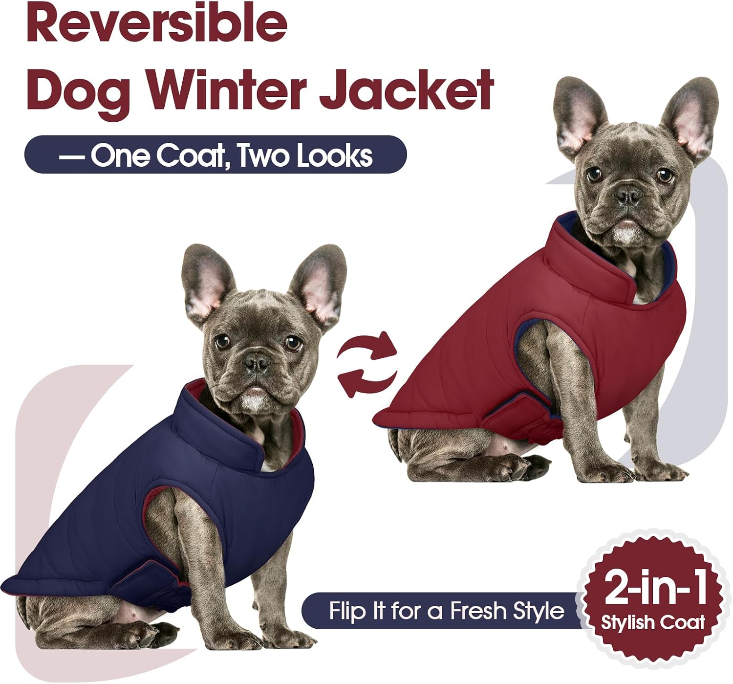 Thumbnail 1 de QBLEEV Dog Jacket, size S