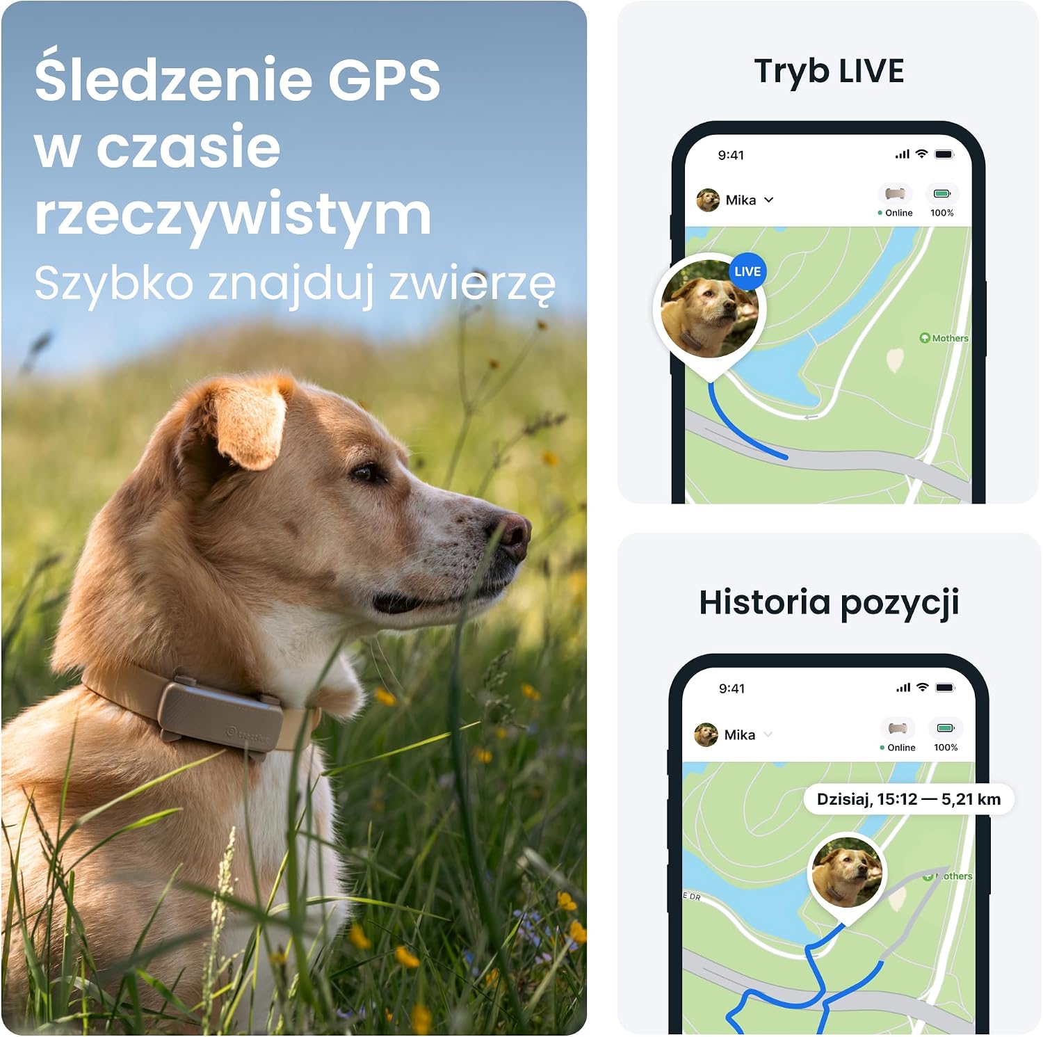 Detalle de Tractive GPS 2025 Edition — lokalizator dla psa z GPS i alertami