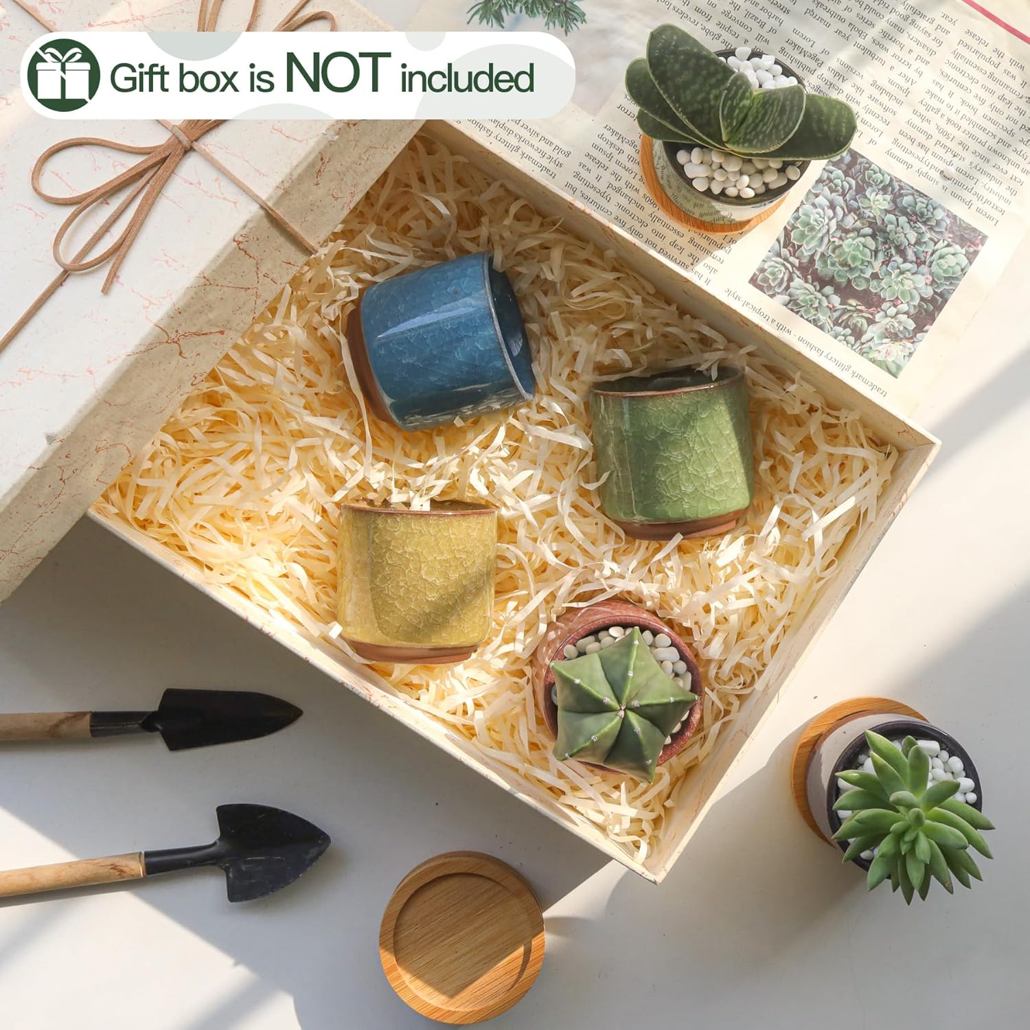 Thumbnail 5 de T4U 6cm Succulent Plant Pot Set of 6 🌱