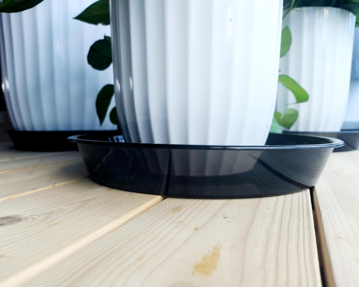 Thumbnail 3 de NIMYAU Plant Saucer 12 Inch 6 Pack