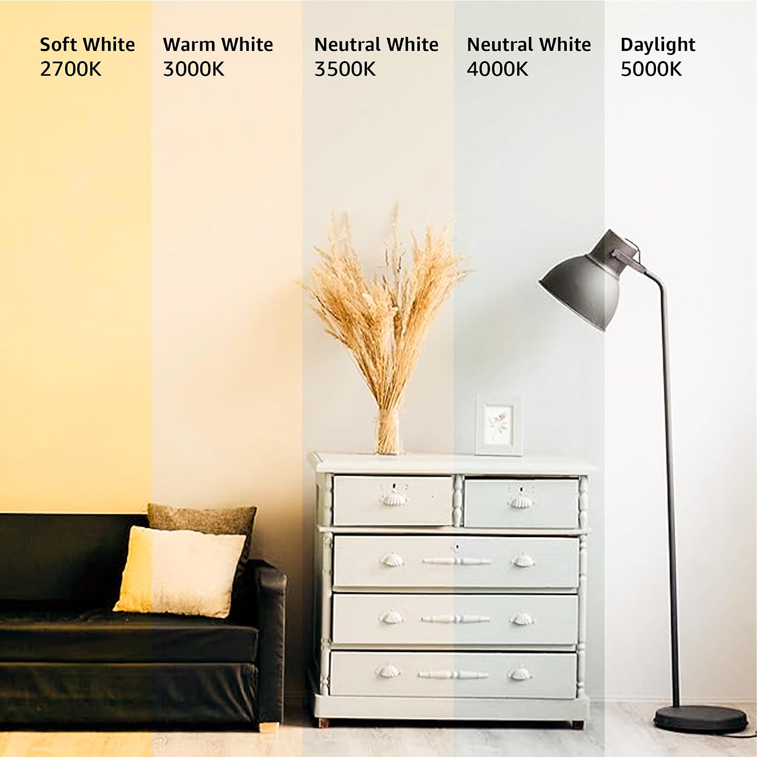 Thumbnail 6 de Amazon Basics A19 LED 9W Bulbs