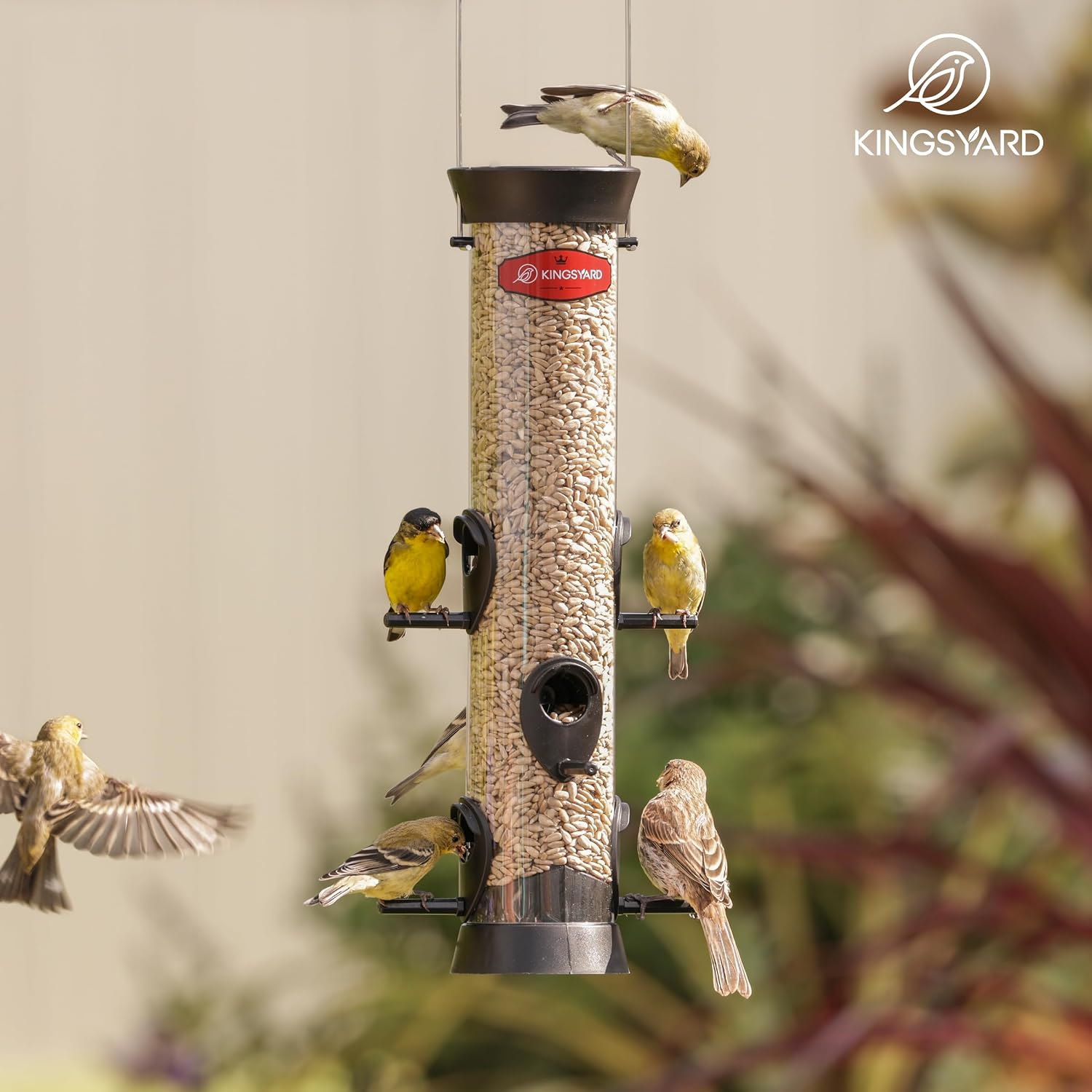 Thumbnail 6 de Kingsyard 2 Pack Tube Bird Feeder for Outdoors with Removable Base and Perch, 6 Feeding Ports