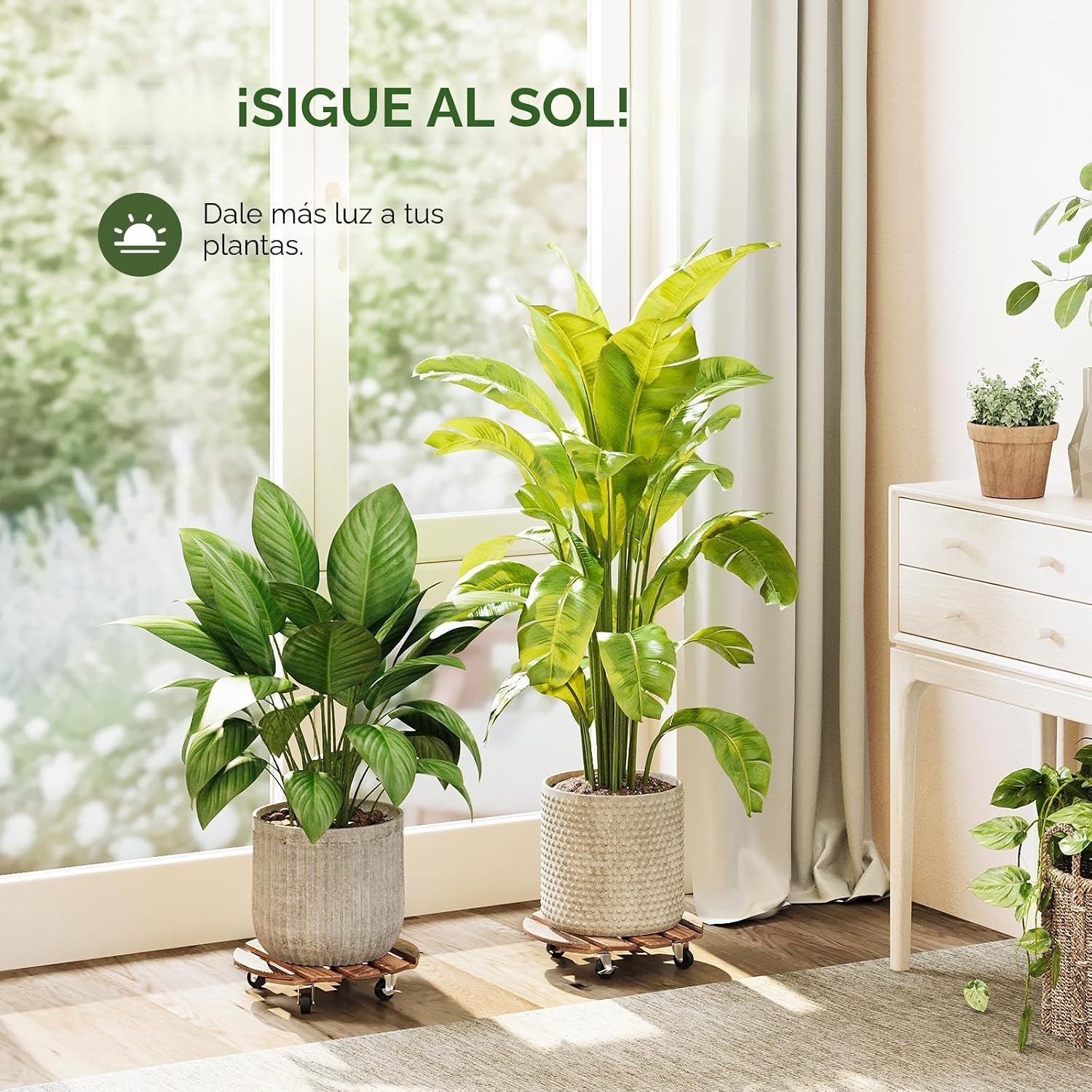 Thumbnail 4 de Bamworld soportes para plantas con ruedas