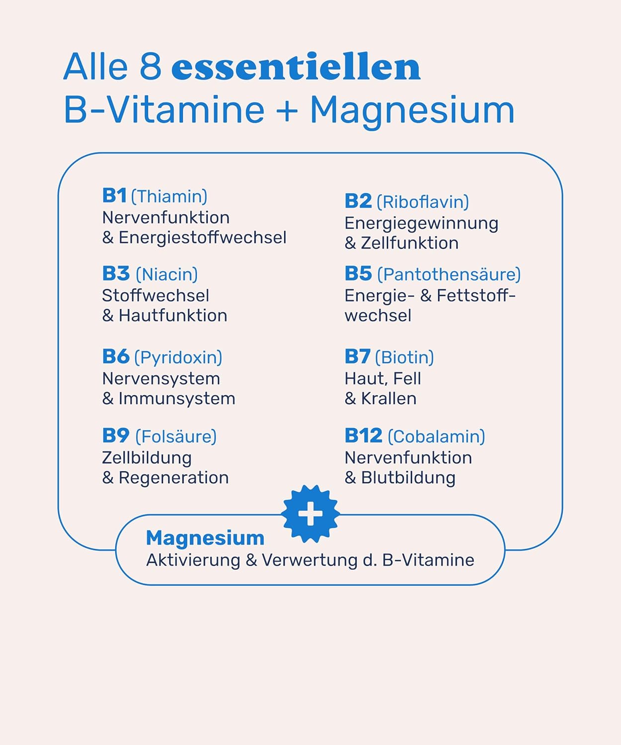 Thumbnail 1 de mammaly Vitamin B Komplex für Hunde mit Magnesium – Unterstützung für Nerven, Energie, Haut und Fell