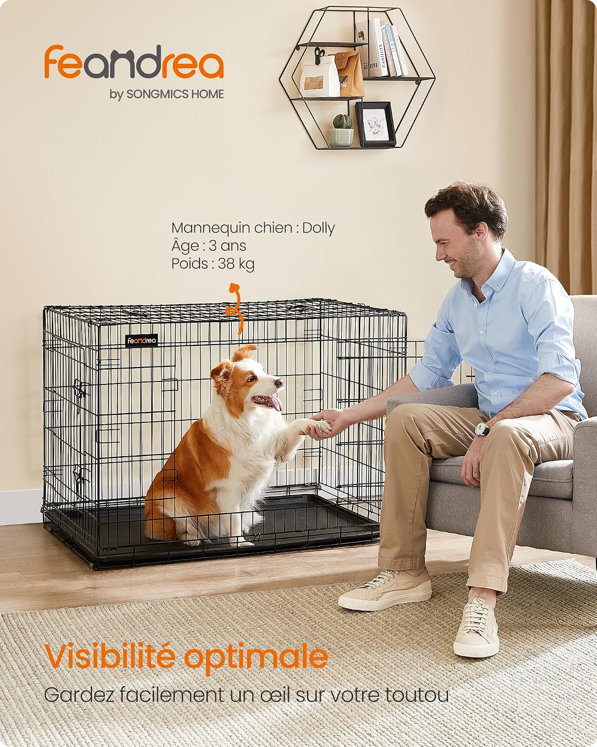 Detalle de Feandrea Cage pour Chien Pliable avec 2 Portes – XL, 107 × 70 × 77,5 cm, Noir PPD42H