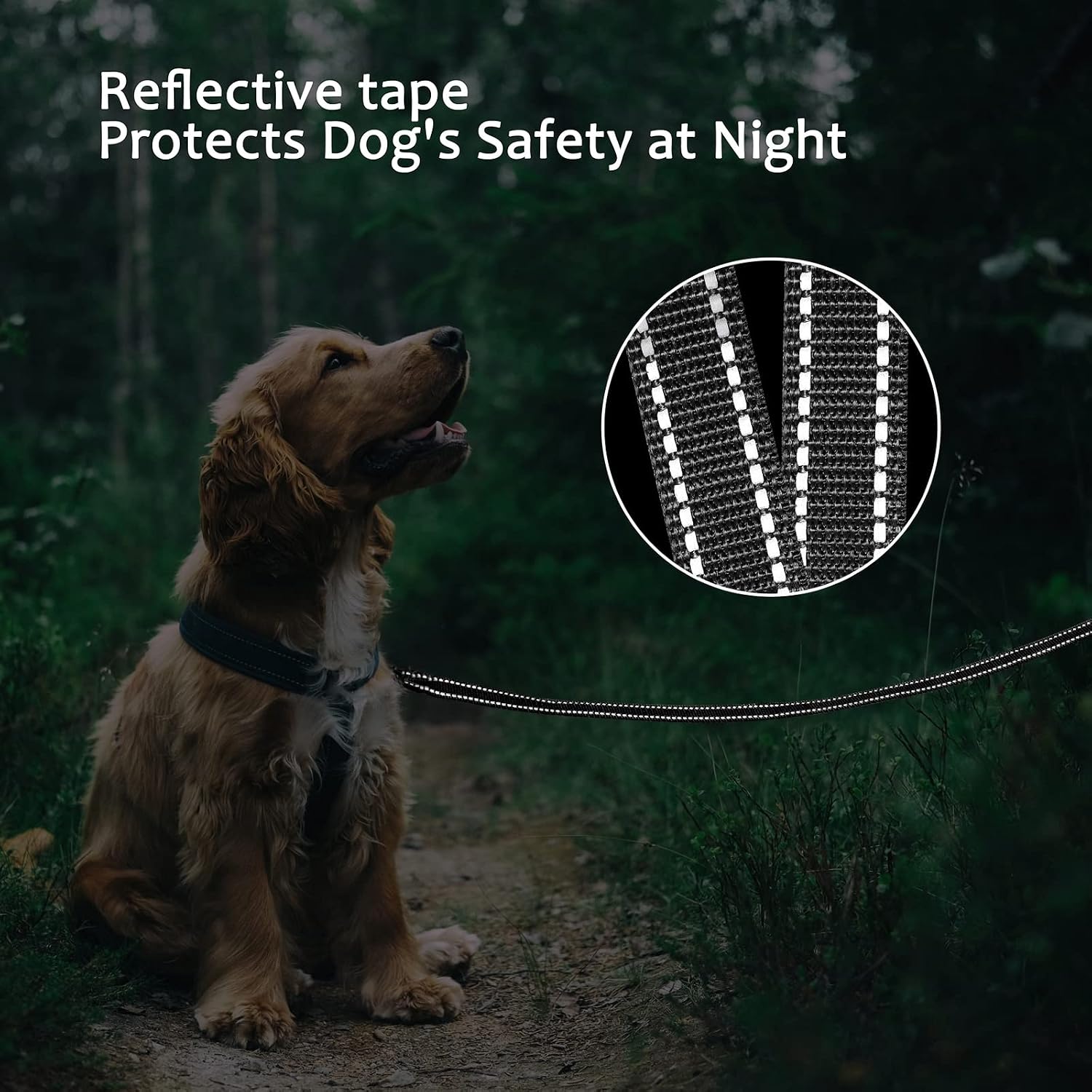 Detalle 1 de COMSLE Long Leads for Dog Training – extra long nylon training lead with handle and rotating buckle