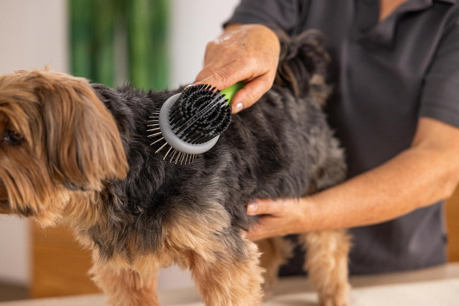 Thumbnail 2 de Wahl Brosse d'entretien Deux Faces 🐾
