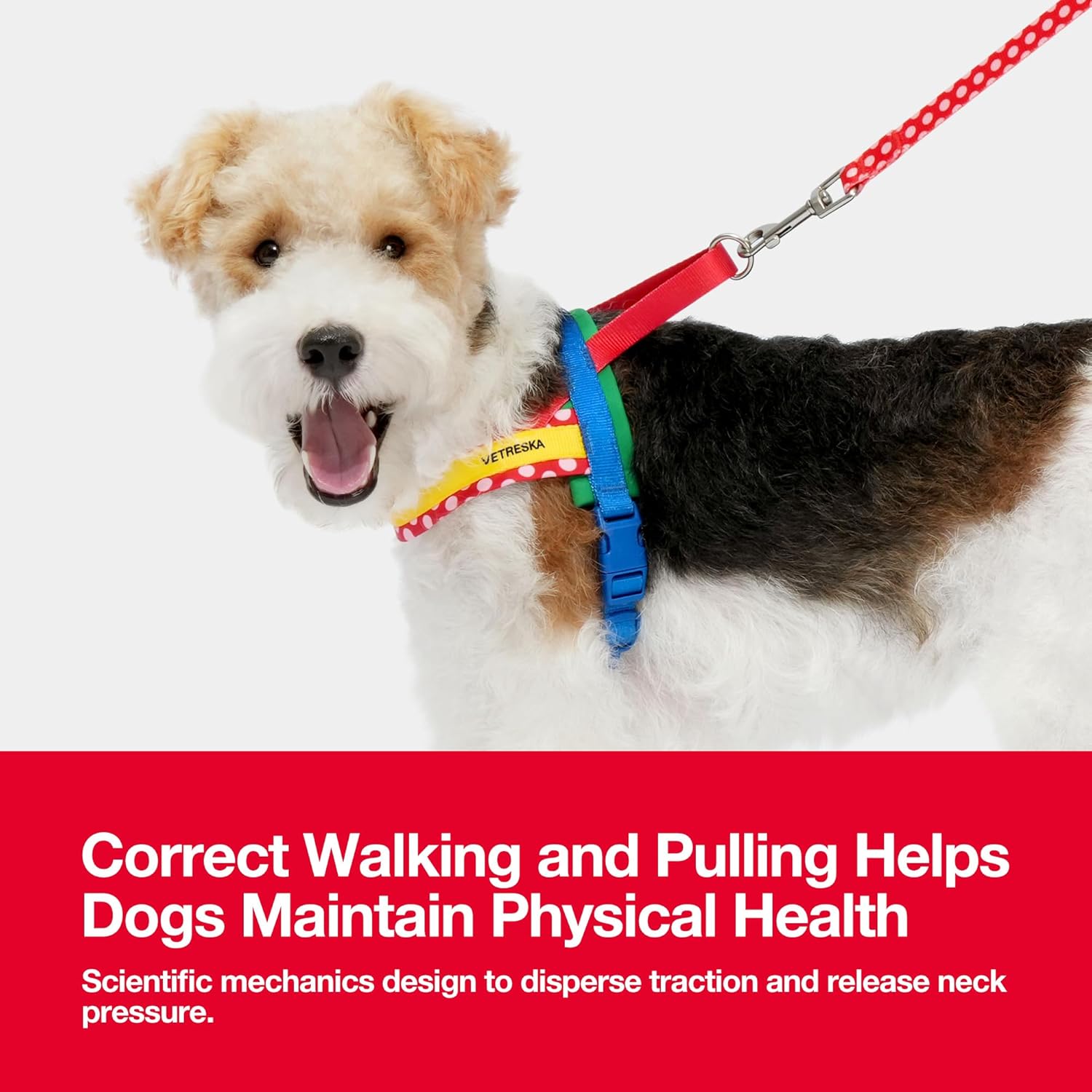 Thumbnail 5 de VETRESKA Dog Harness and Leash Set (XS, Red): No-Pull, Adjustable, 360° Tangle-Free Walk Training