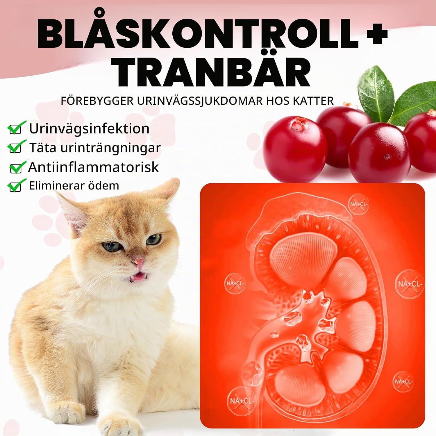 Detalle 2 de RoongDuuDll urinstöd för katt, droppar med tranbärsextrakt, 60 ml
