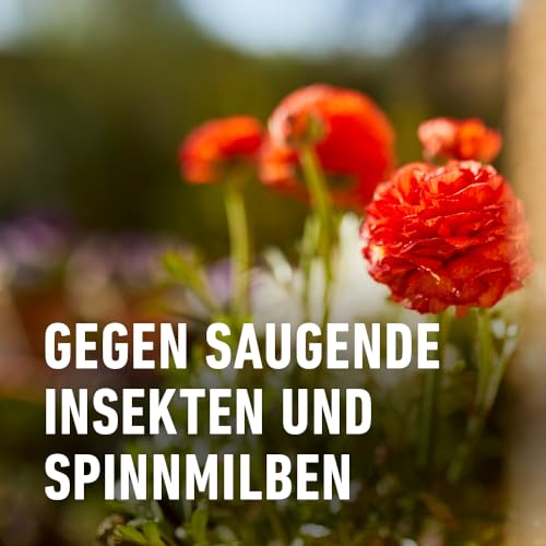 Detalle de COMPO Grün- und Blühpflanzen Schädlings-frei AF 750ml – Hochwirksamer Schutz für Zierpflanzen