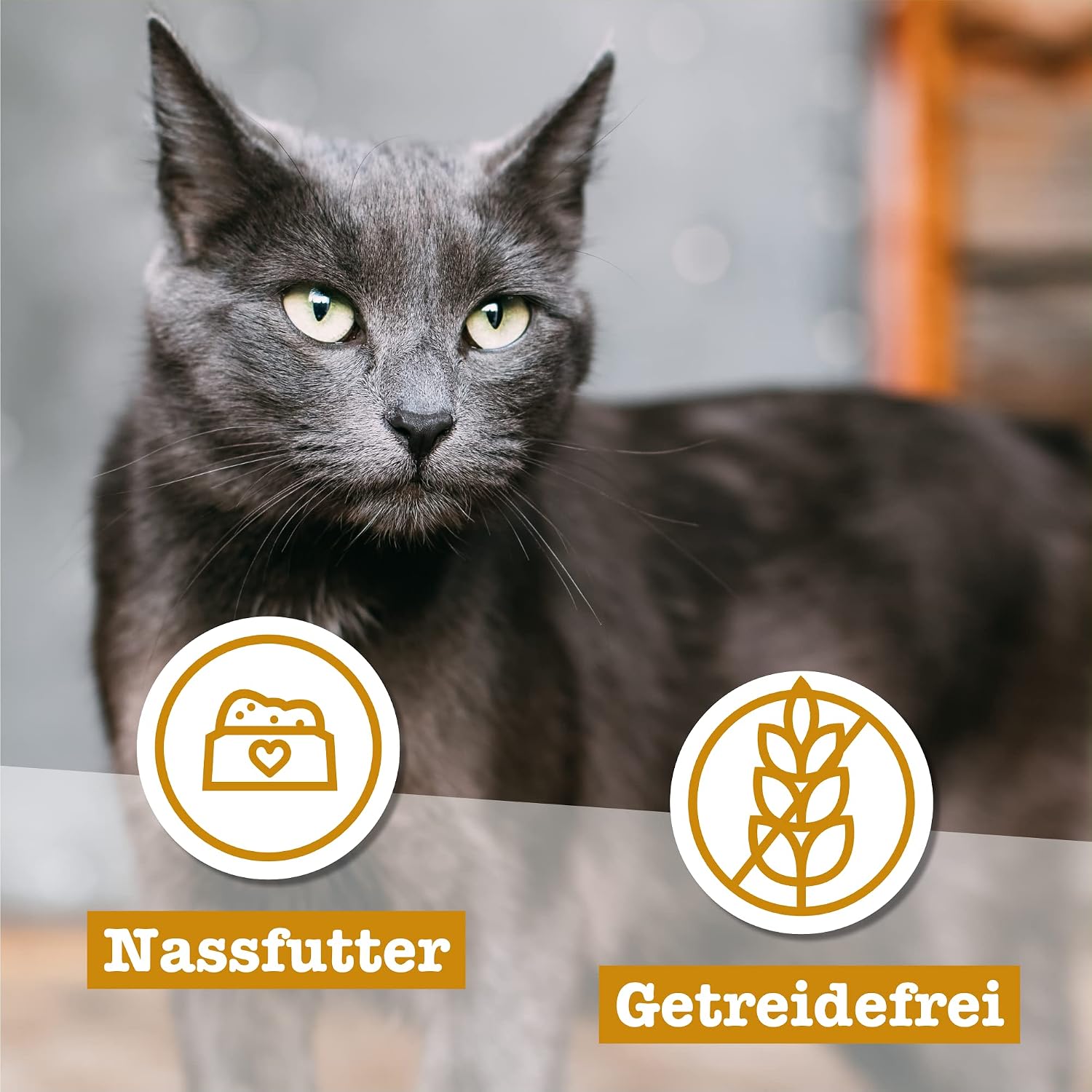 Thumbnail 4 de catz finefood Senior N°07 Rind & Kalb – Nassfutter für Senior-Katzen (16 x 85 g)