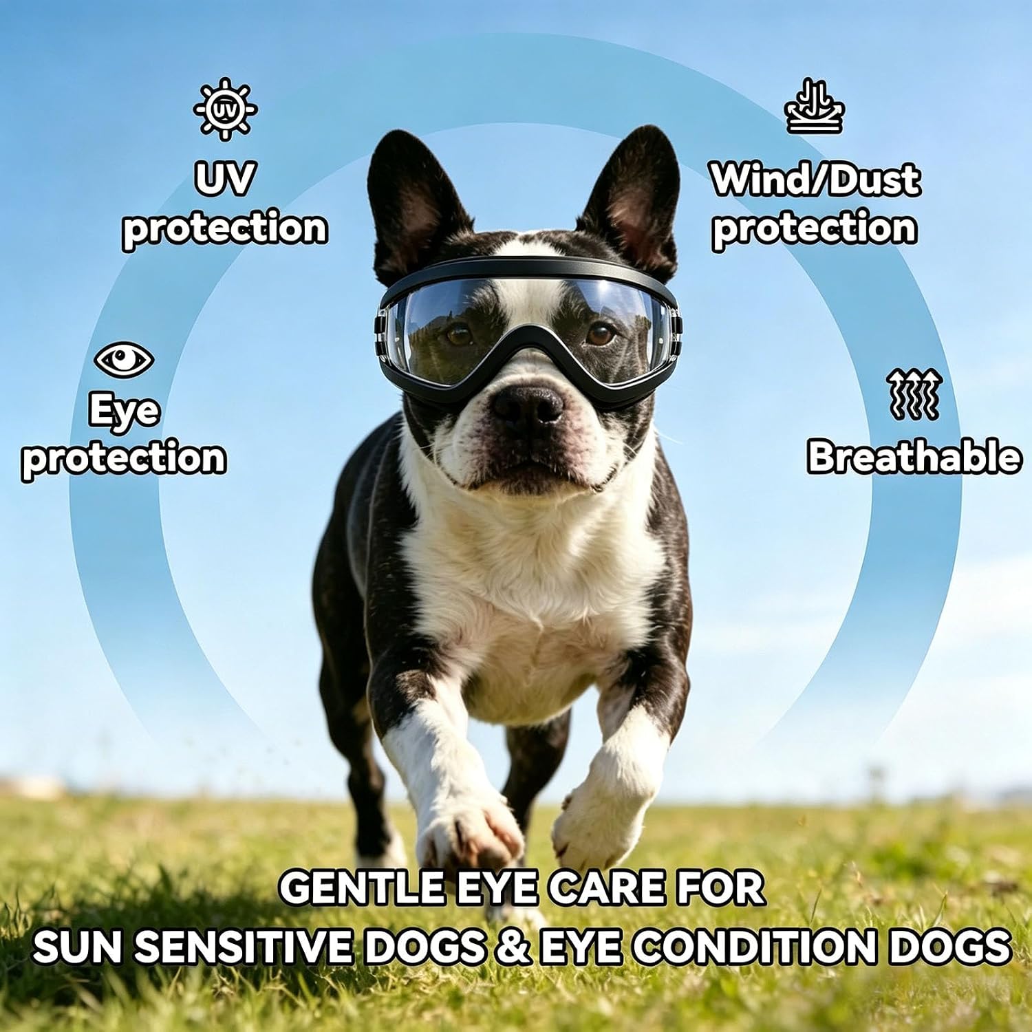 Detalle de PETLESO 犬用ゴーグル クリアMサイズ UVブロック・防風・曇り止め通気設計