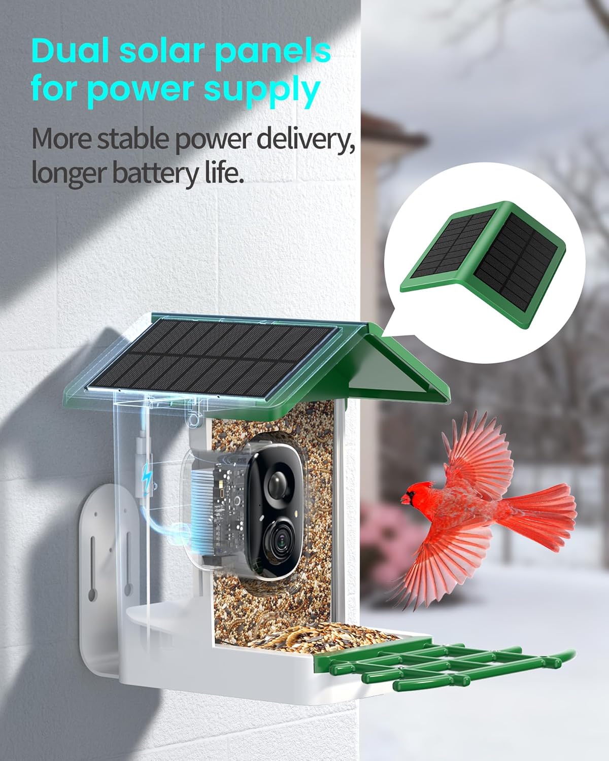 Detalle de Smart Bird Feeder with Camera (G11) — 2K HD, Dual Granary, 16,000+ Bird ID, Solar Power