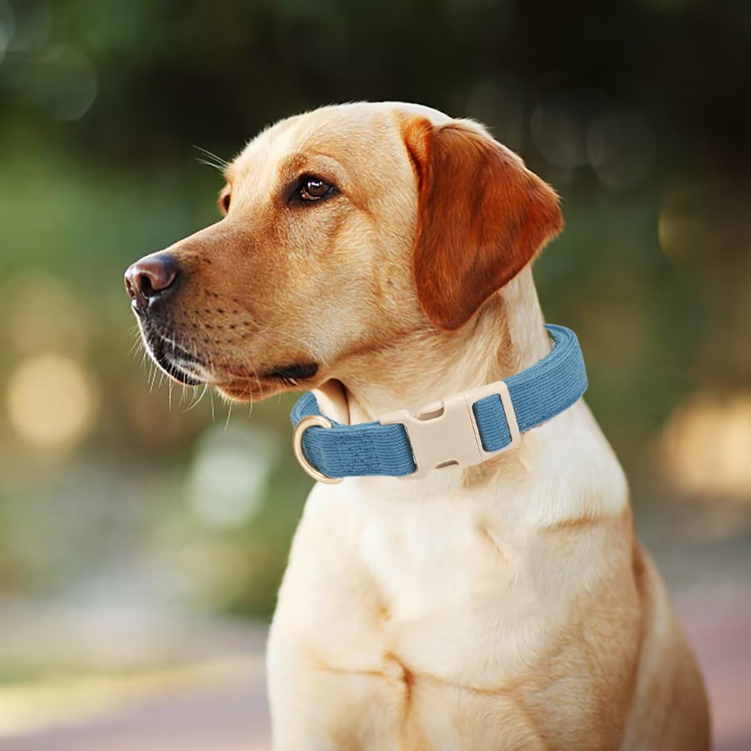 Detalle de YUDOTE Soft Corduroy Dog Collar with Plastic Clip – Comforty and Adjustable for Medium Dog, Blue