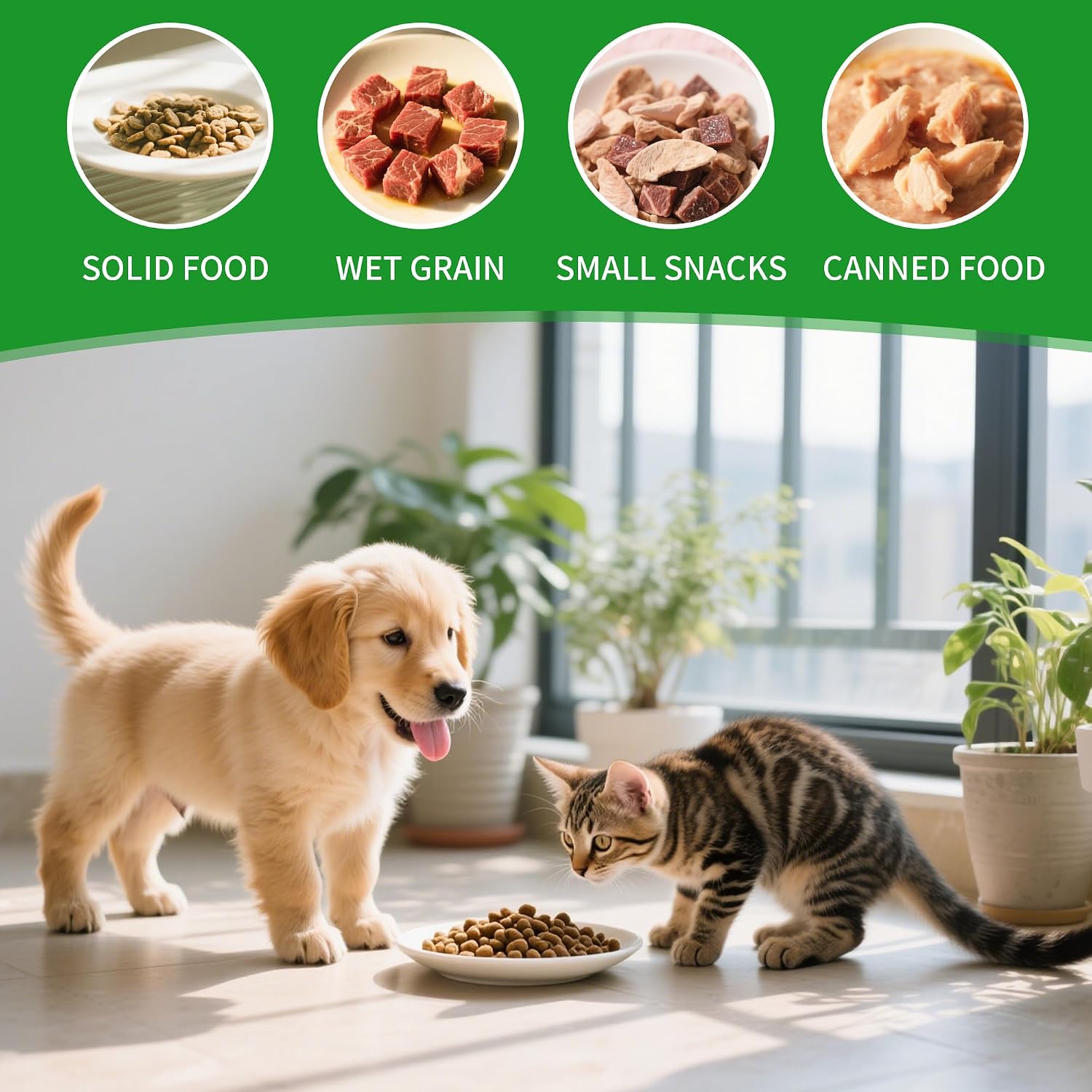 Detalle 2 de BUCOMTU Katzennapf Keramik 4er Set