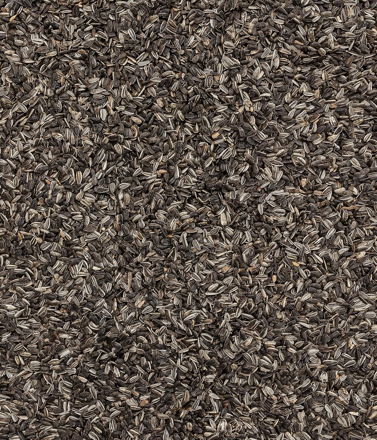 Detalle de Dehner Natura Premium Nourriture pour Oiseaux Sauvages – Graines de Tournesol, 5 kg