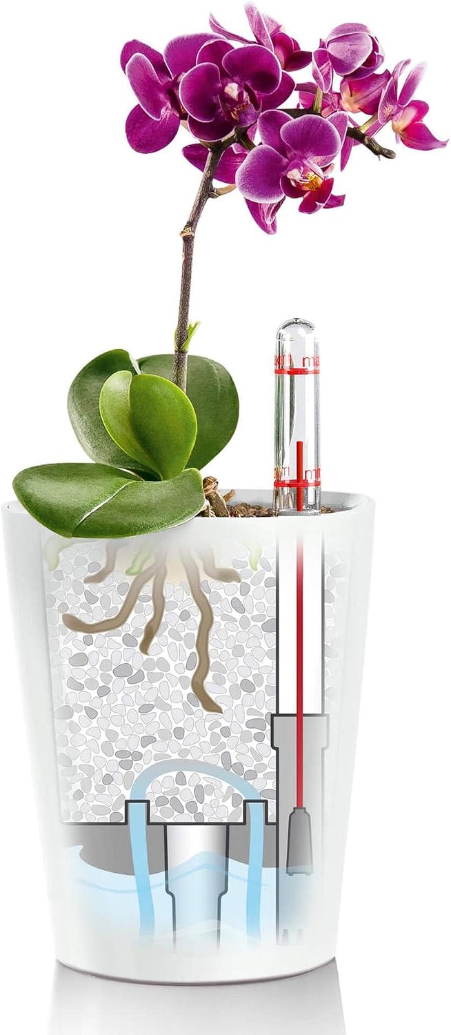 Detalle 2 de LECHUZA DELTINI rosso scarlatto vaso autoirrigante 19x11,5x15