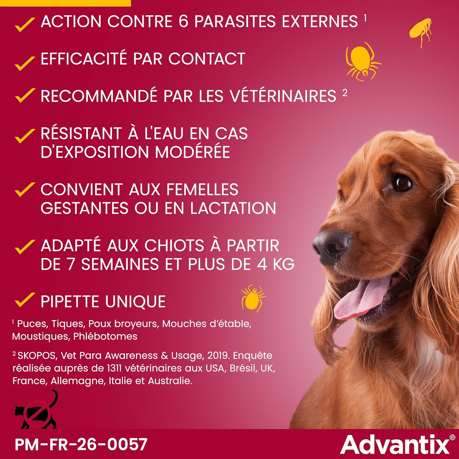 Detalle de Advantix Petit Chien 4–10 kg, 4 pipettes de 1,0 ml – Protection antiparasitaire externe sur 4 semaines