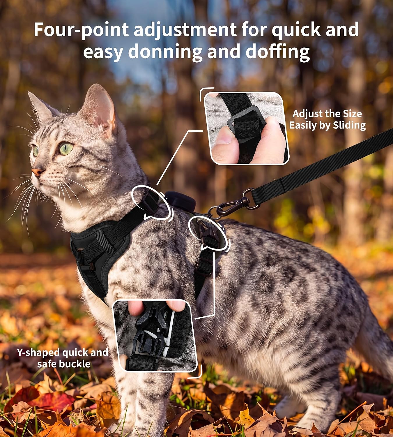 Thumbnail 3 de Cat Harness and Leash Set, Large