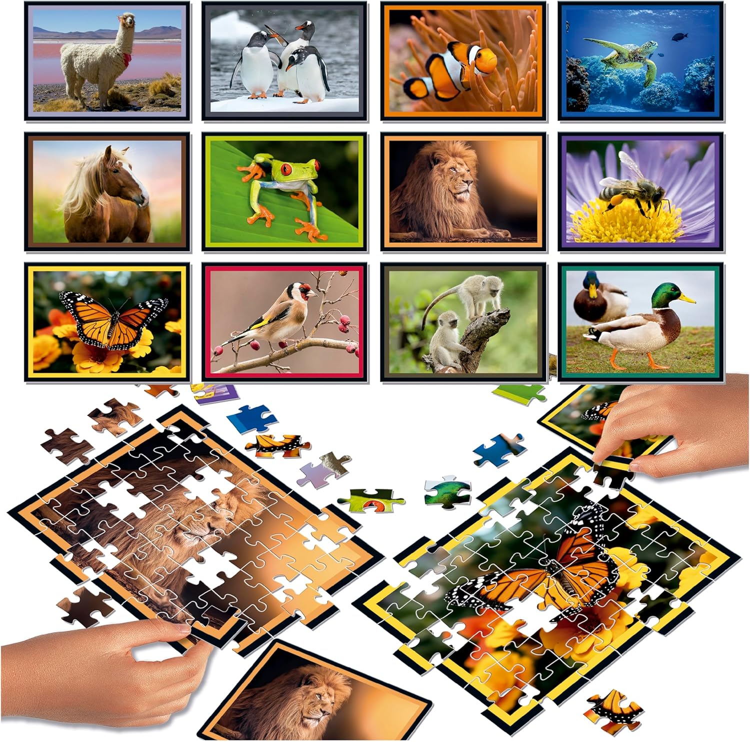 Thumbnail 1 de Educa Puzzle Battle Nature: set di puzzle da 42 pezzi (da 7 anni), 20119