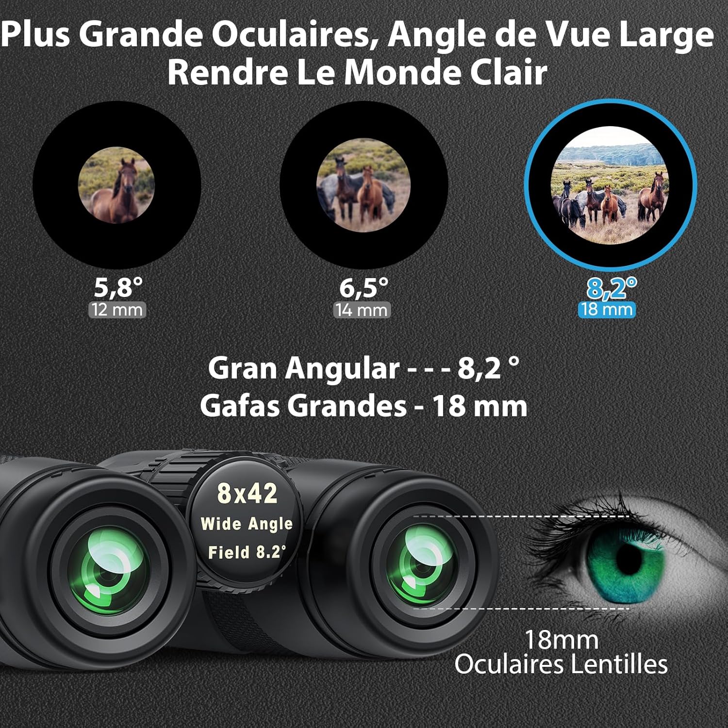 Thumbnail 3 de Jumelles adultes Timorn 8x42 HD étanches (jusqu’à 1 m pendant 30 min) avec adaptateur téléphone et trépied