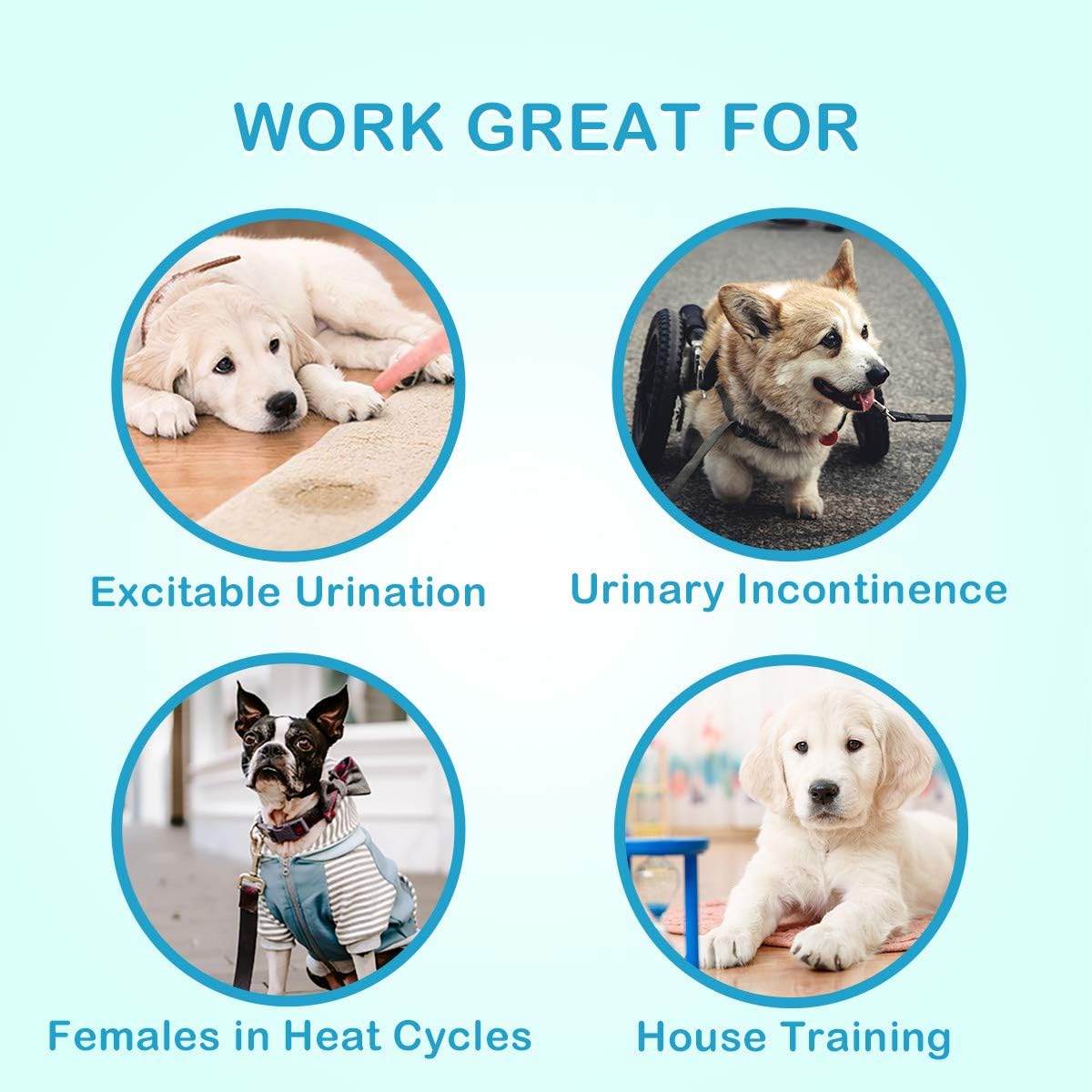 Thumbnail 5 de Pet Soft Pannolini per cani femmina fantasia jeans stile cowboy, monouso, 24 pezzi