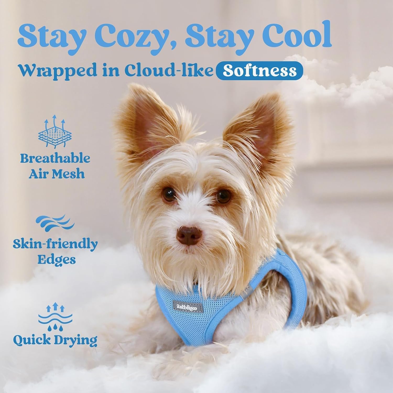 Thumbnail 2 de rabbitgoo Dog Harness XS, Step-in Pet Vest