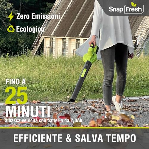 Thumbnail 6 de SnapFresh Soffiatore a Batteria 20V: leggero, potente e versatile