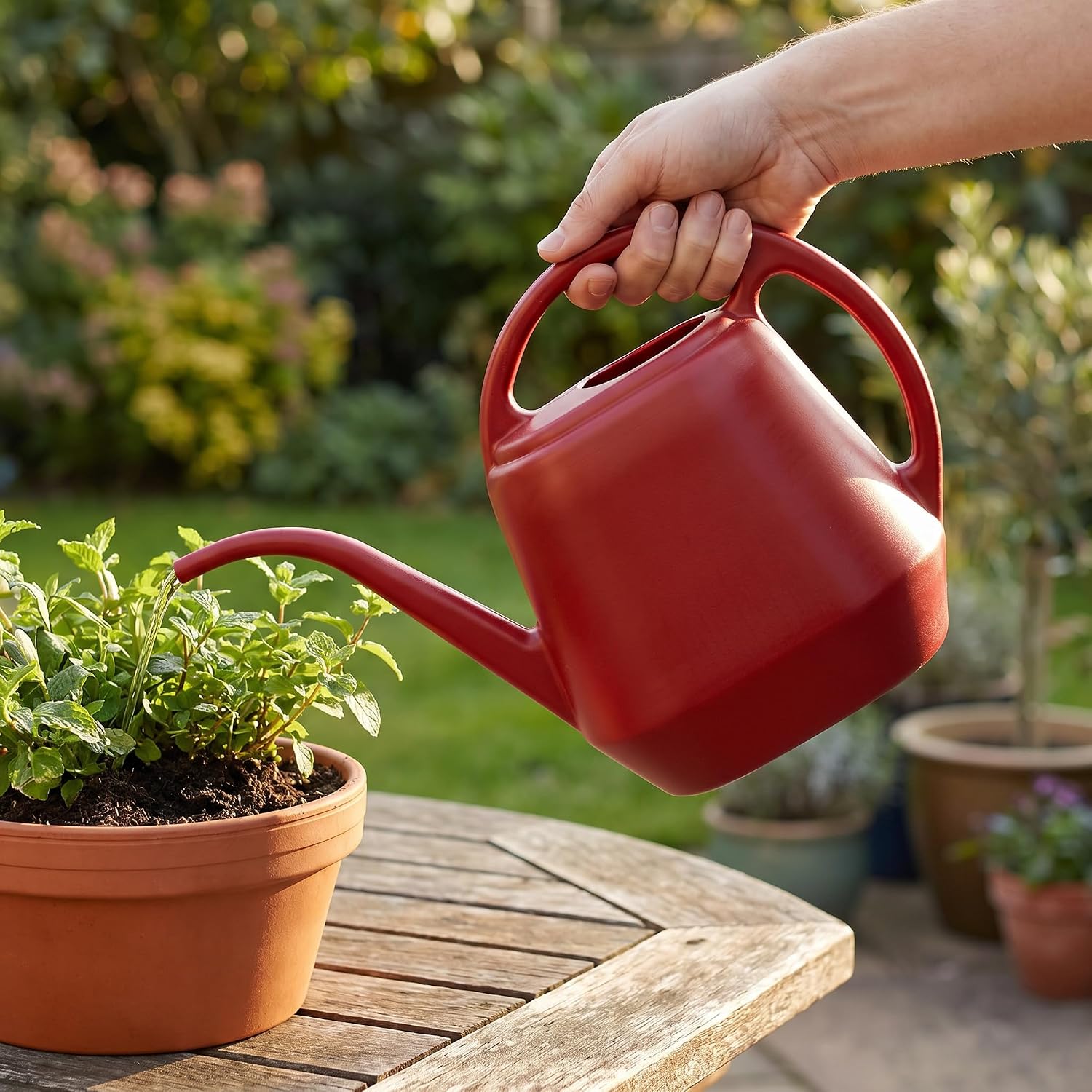 Detalle de Fasmov Plastic Watering Can, 1-Gallon, Burnt Red with Long Spout