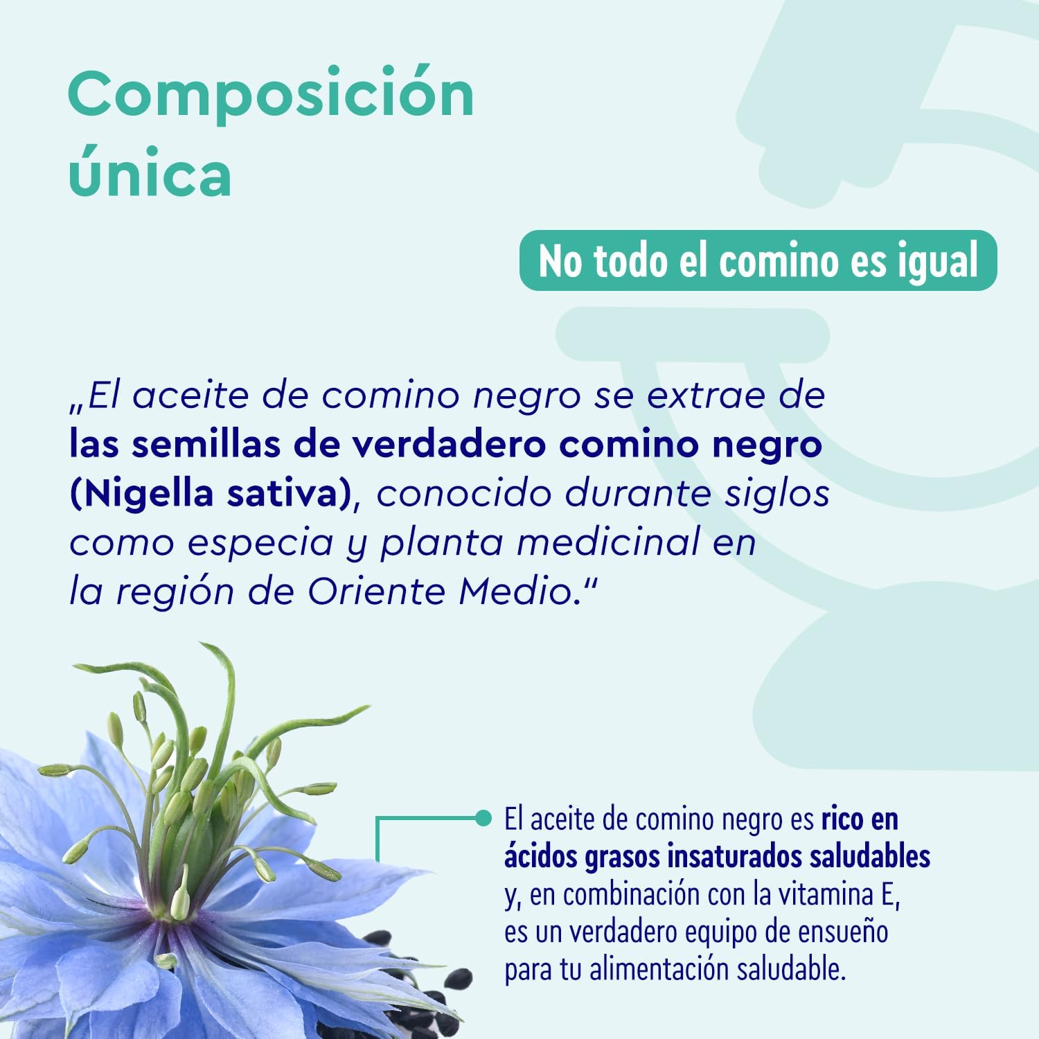 Detalle 1 de Aceite de Comino Negro 1000 mg 180 cápsulas