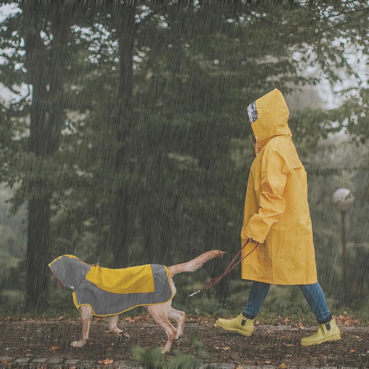 Detalle 2 de IECOii Dog Raincoat, XXL