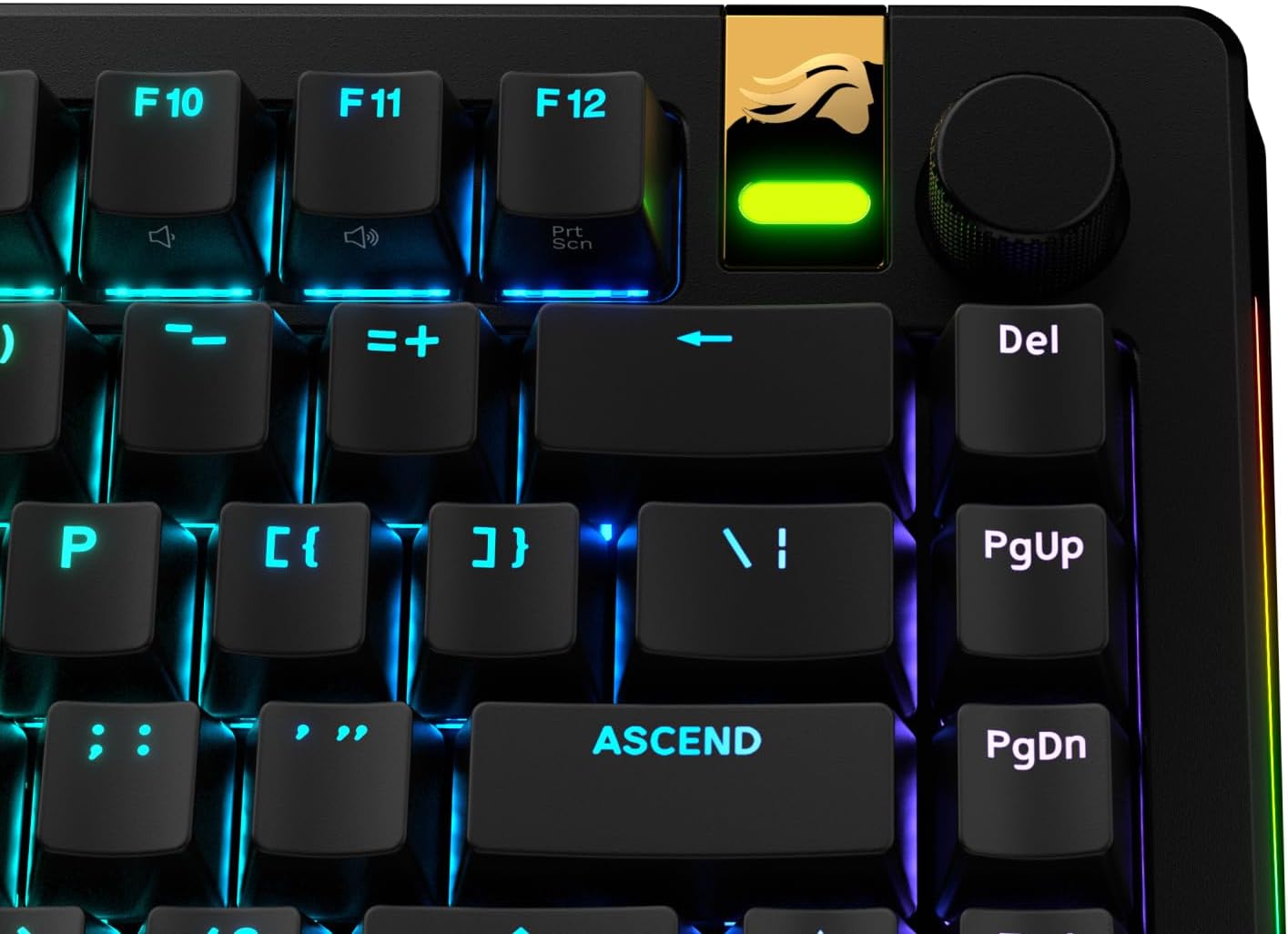 Thumbnail 6 de GLORIOUS GPBT Backlit-Tastenkappen 100% ⌨