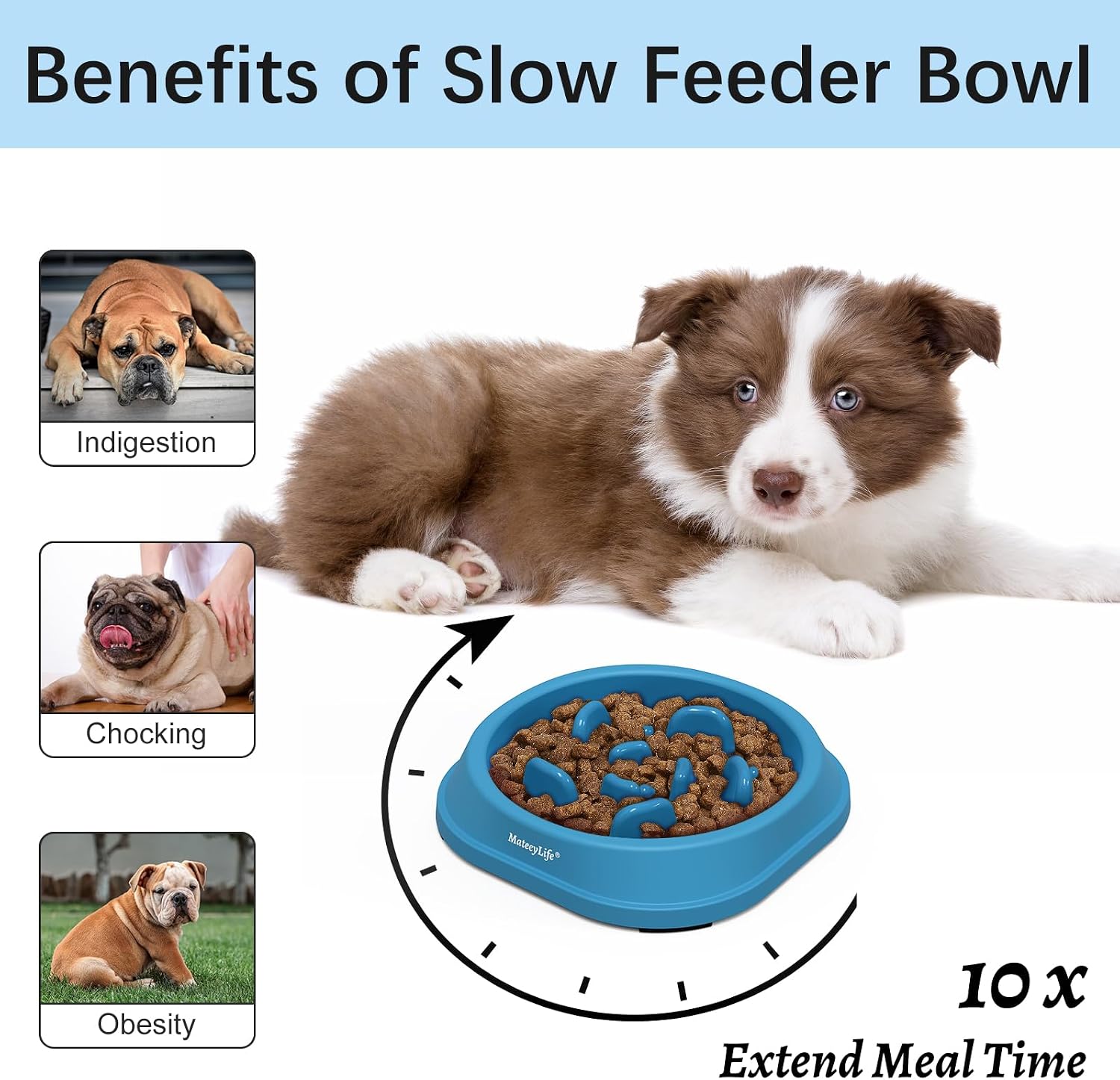 Detalle 2 de MateeyLife Small Slow Feeder Bowl 1 cup