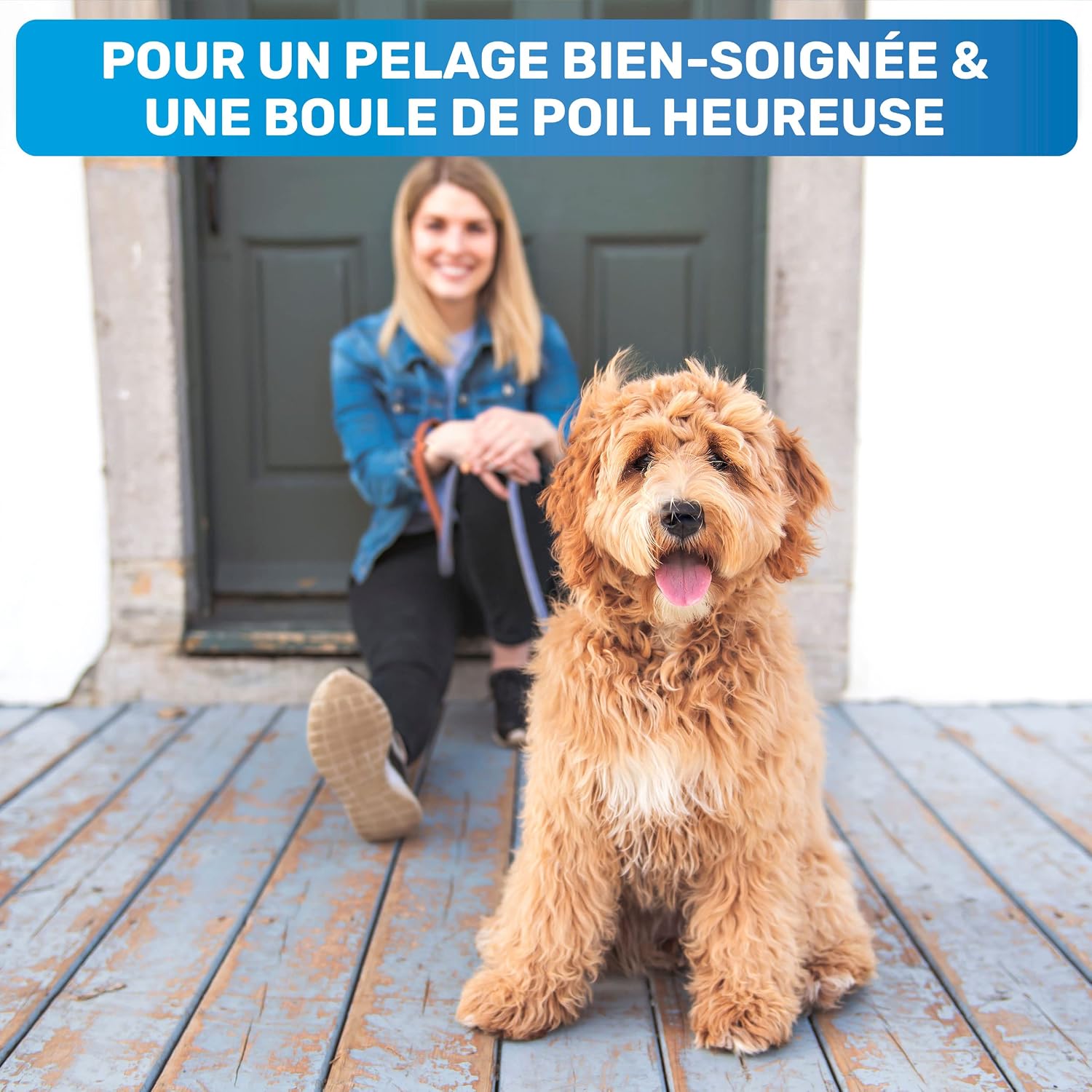 Thumbnail 4 de BluePet Brosse Chiens & Chats 🐾