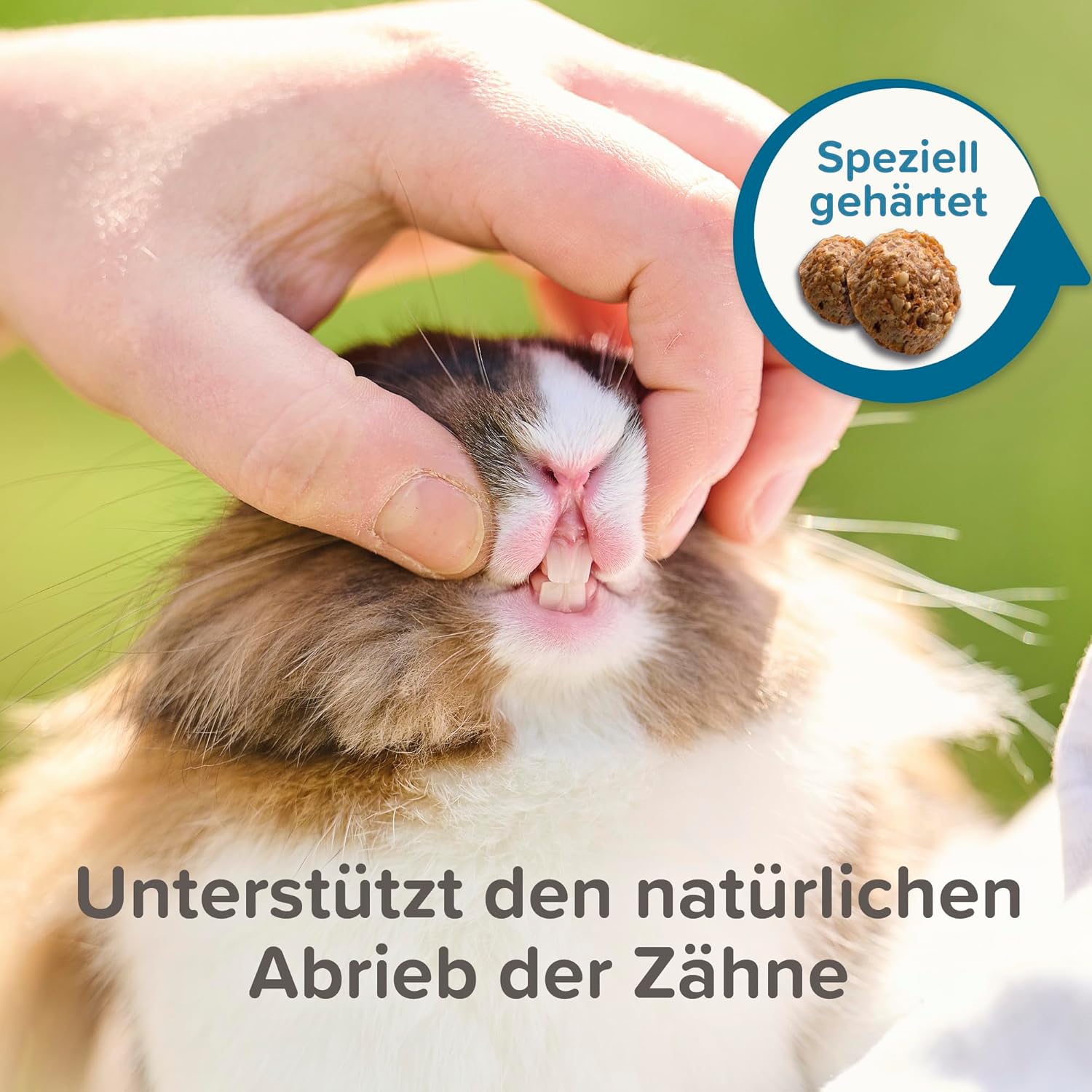 Thumbnail 4 de beaphar Care+ Kaninchen, 10kg – ausgewogene Komplettfütterung für Rabbit Health