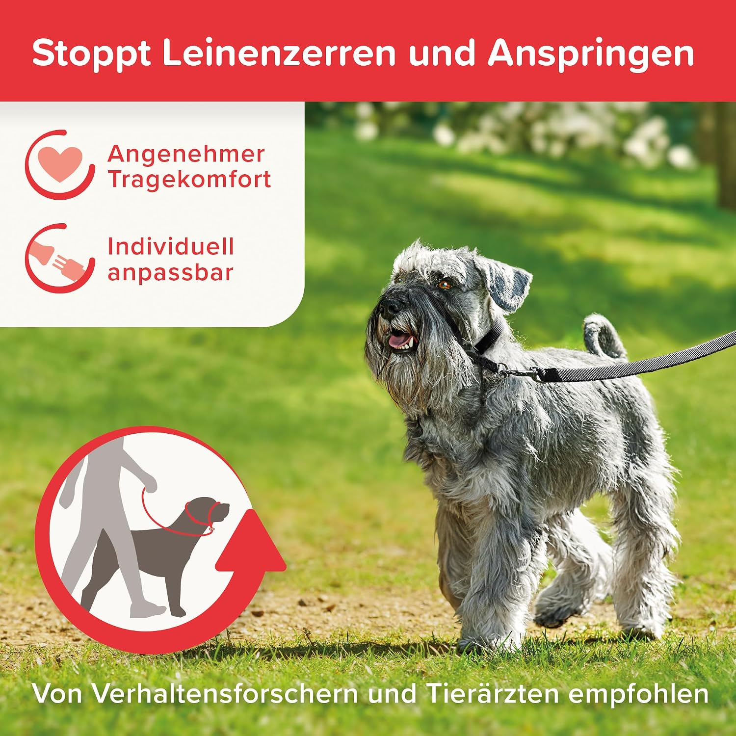 Detalle 2 de BEAPHAR Gentle Leader Hundehalfter S schwarz